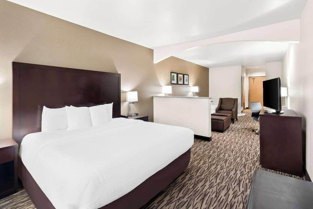 A hotel room with a large bed, a desk, a chair, a TV, and a carpeted floor.