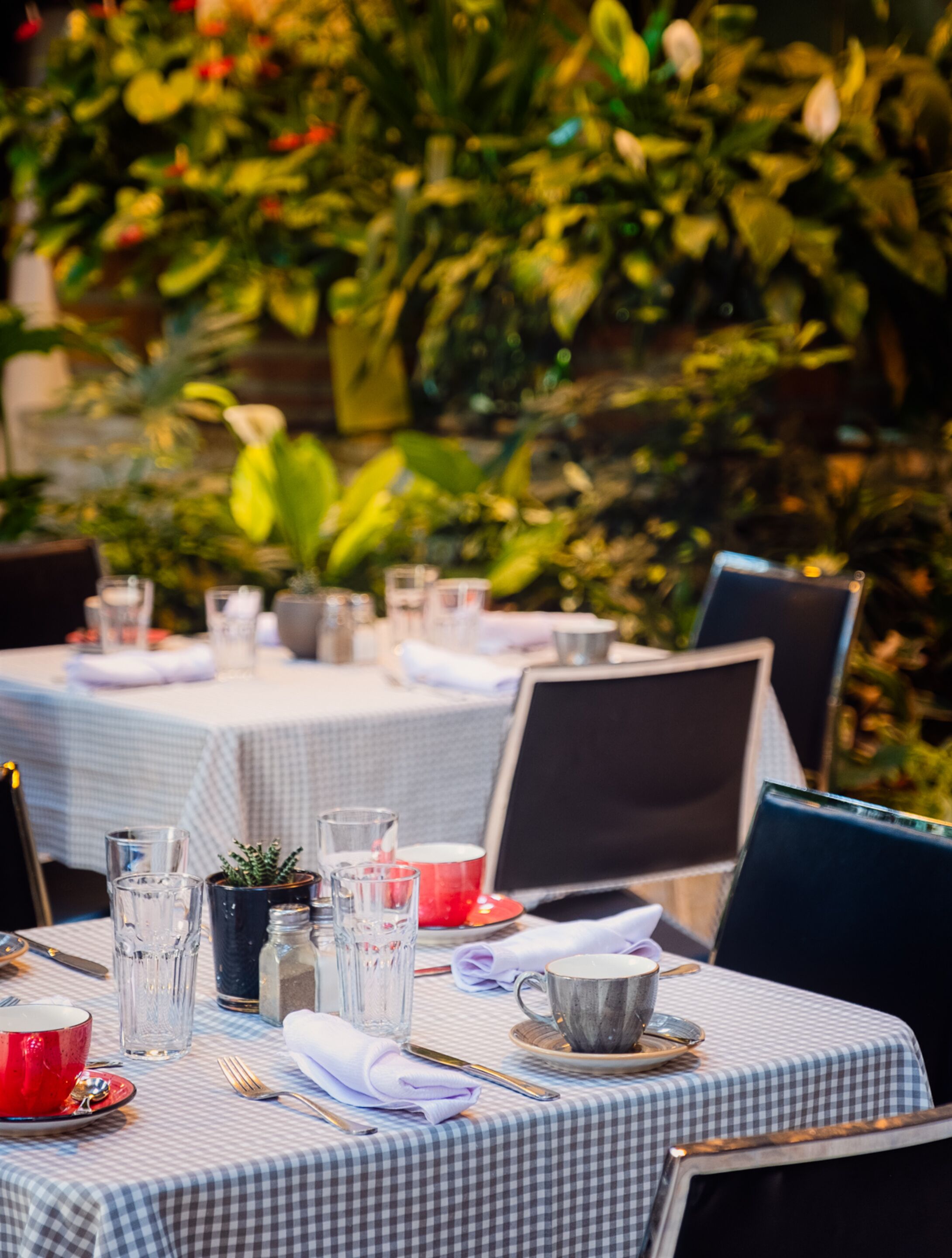 A table set for dining outdoors with a checkered tablecloth, glasses, cutlery, and a red cup.