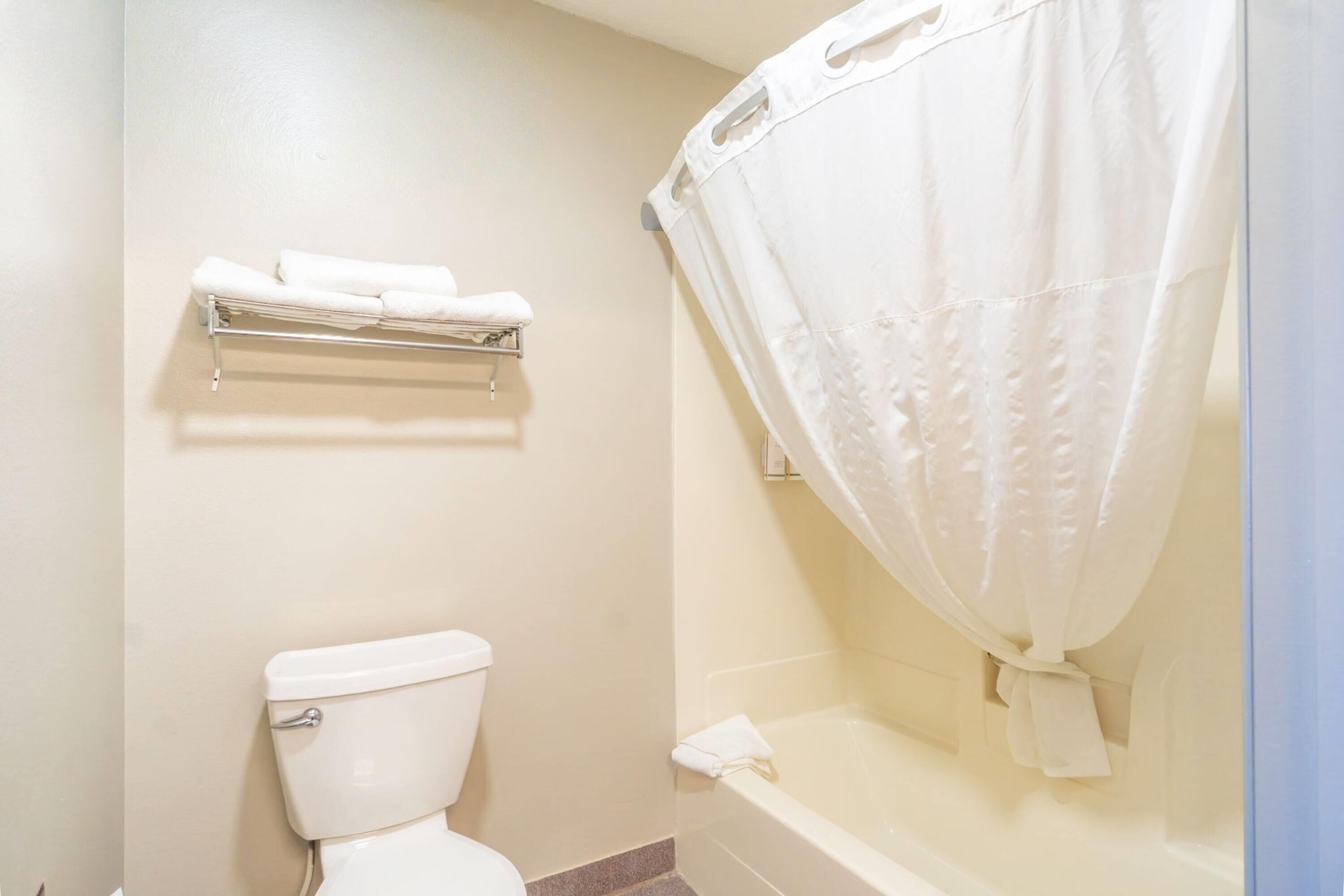 Een badkamer met een toilet, een handdoekhouder en een douchegordijn.