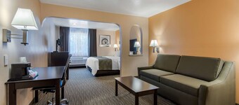 阿爾伯克基北凱藝套房飯店 - 近氣球嘉年華公園