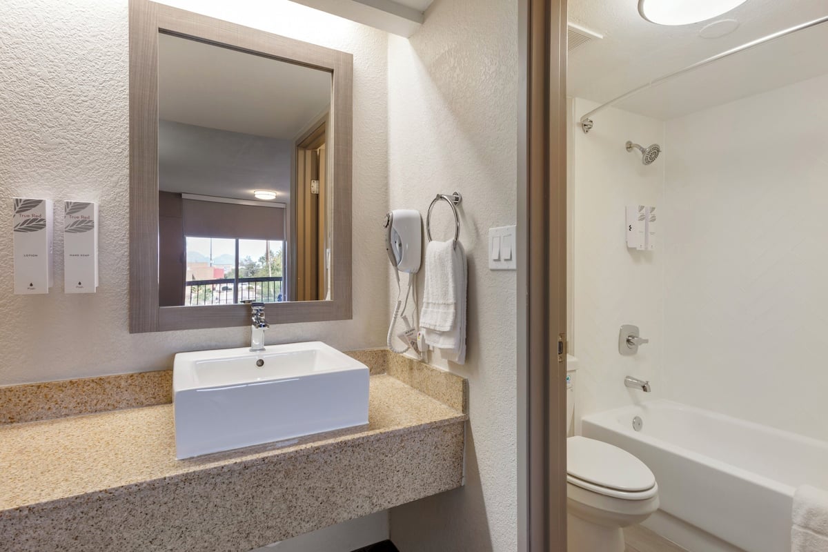 hair dryer, towels, soap, shampoo