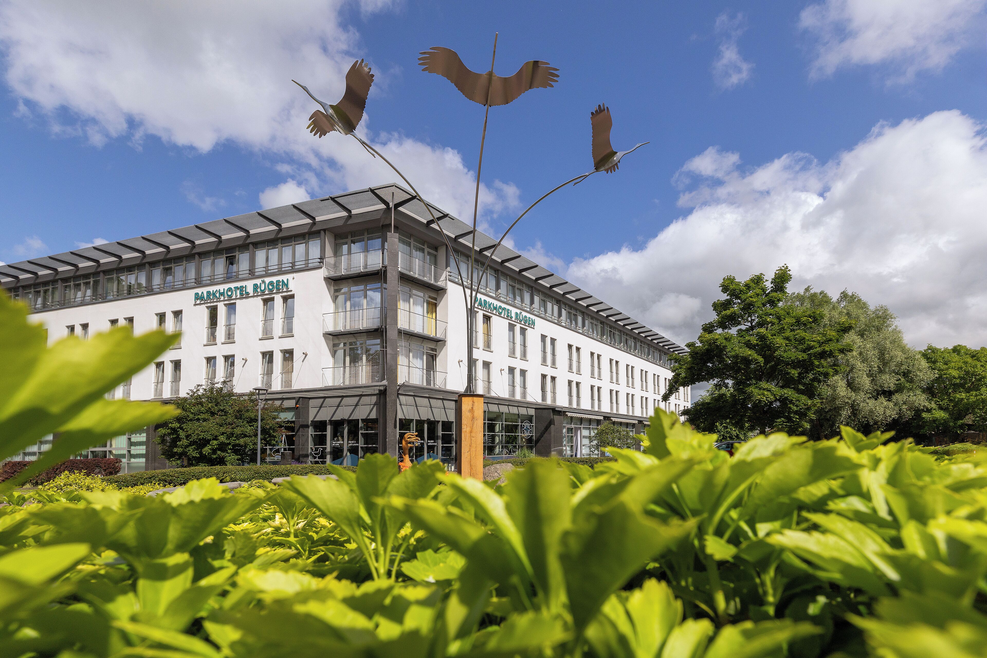 Un hôtel moderne à la façade en verre, appelé « Parkhotel Rüden », qui comprend un jardin sur le toit et des sculptures d’oiseaux décoratives.