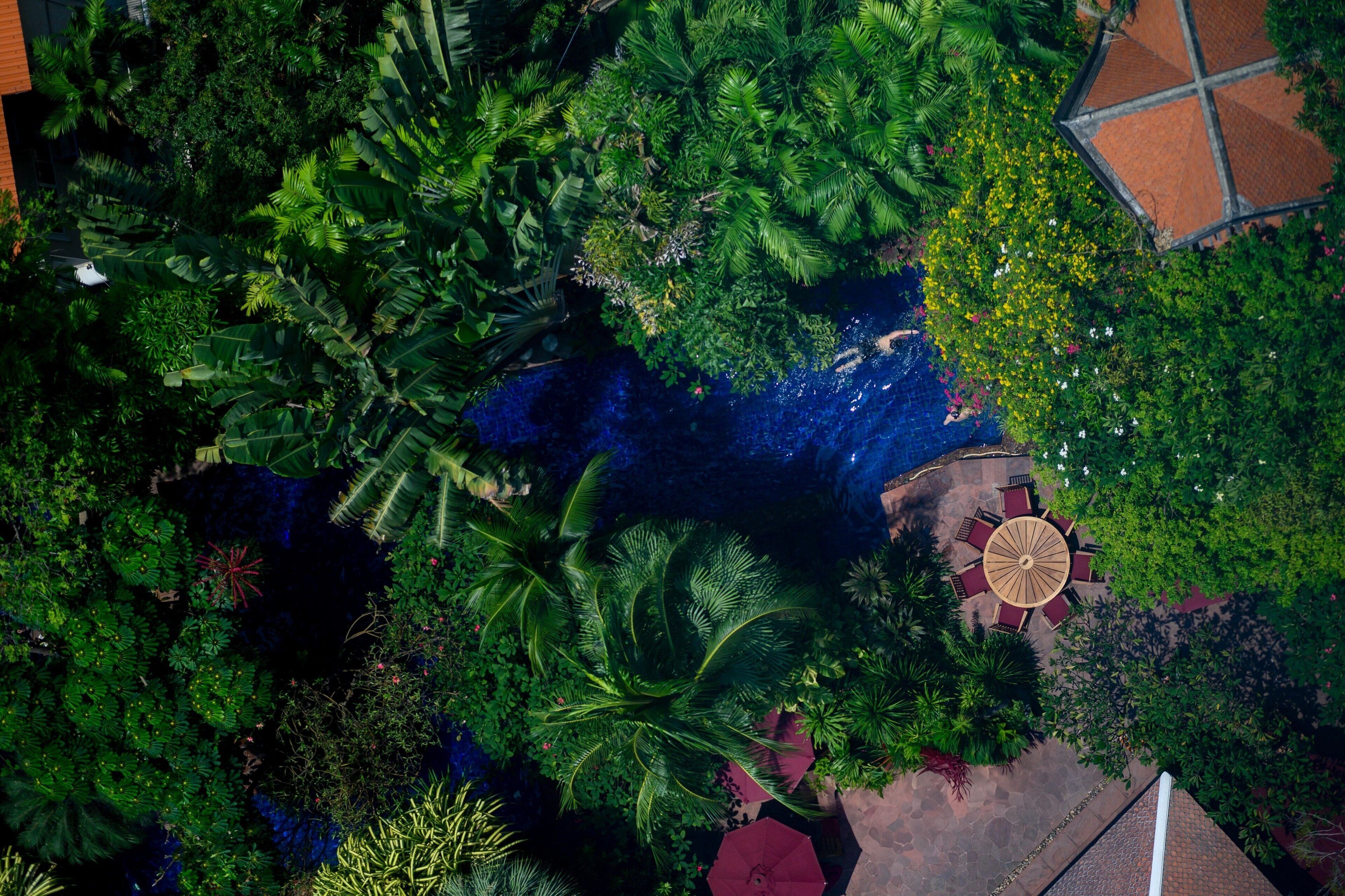 Vista aérea de un jardín exuberante con una zona de estar central que incluye una mesa redonda y sillas, rodeada de diversas plantas tropicales y una pequeña fuente de agua.