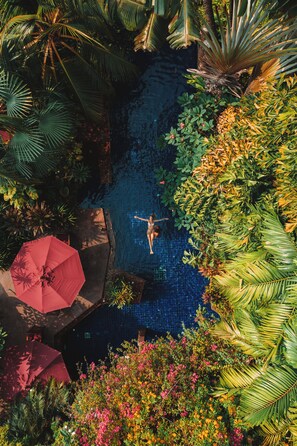 Una piscina rodeada de exuberante vegetación tropical y un paraguas rojo.