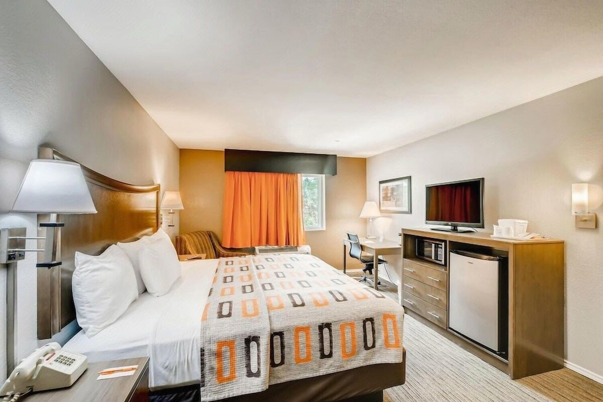 Habitació d'hotel amb un llit, escriptori, televisió i nevera.