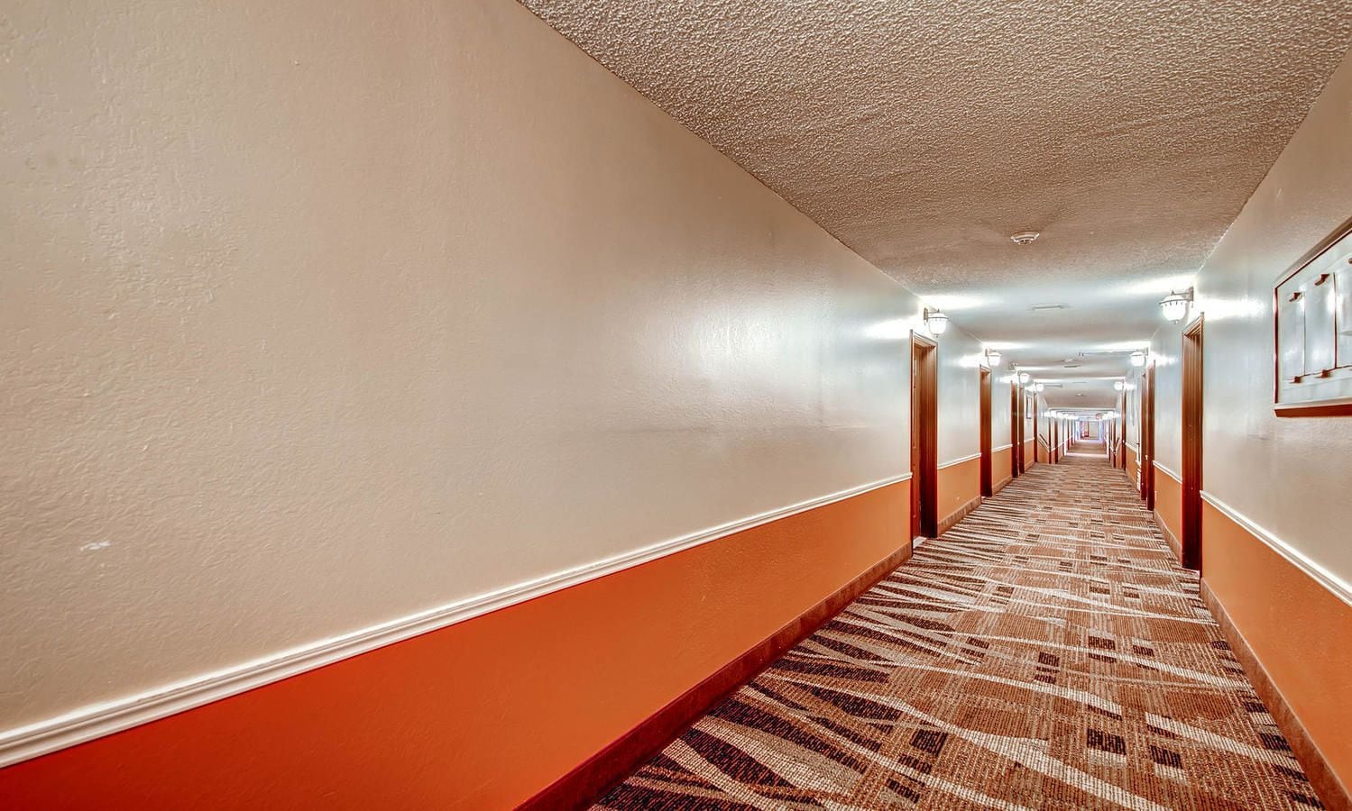 A hotel hallway with a carpeted floor, orange walls, and a ceiling with recessed lighting.