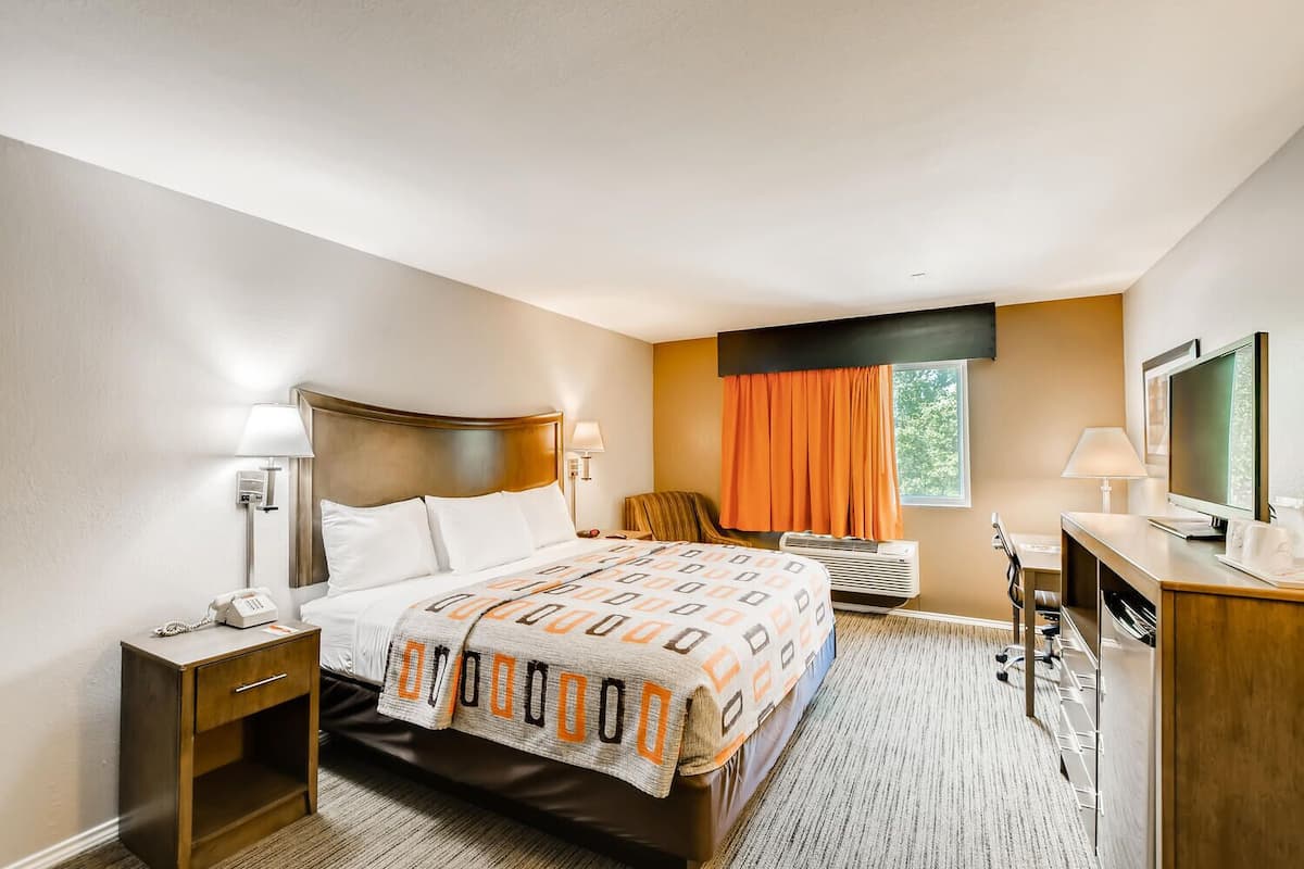 Deluxe Single Room, 1 King Bed