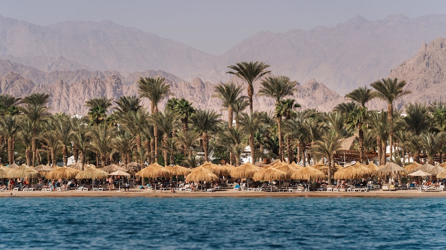 JAZ Sharm Dreams