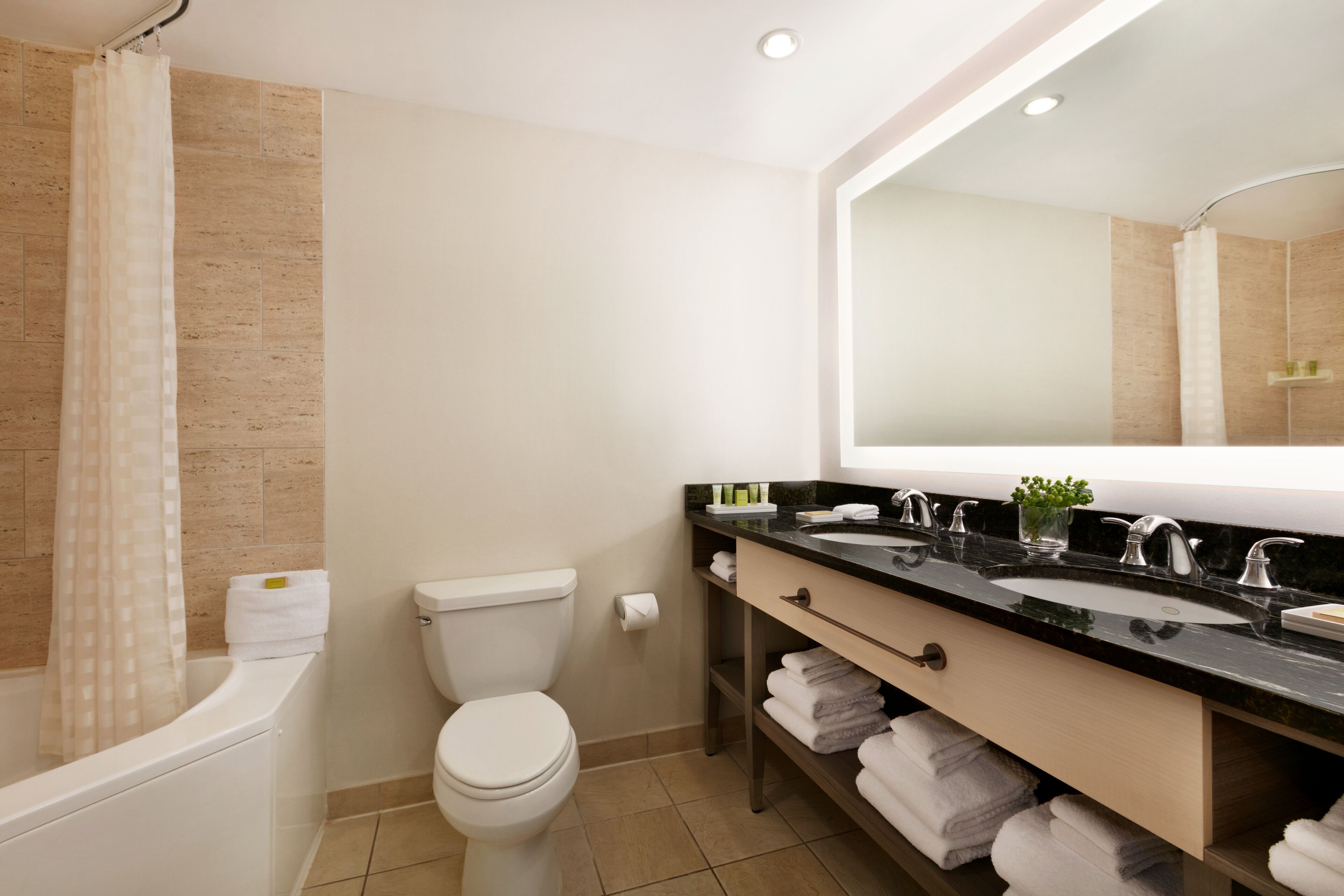 combined shower/bathtub, jetted bath, rainfall showerhead