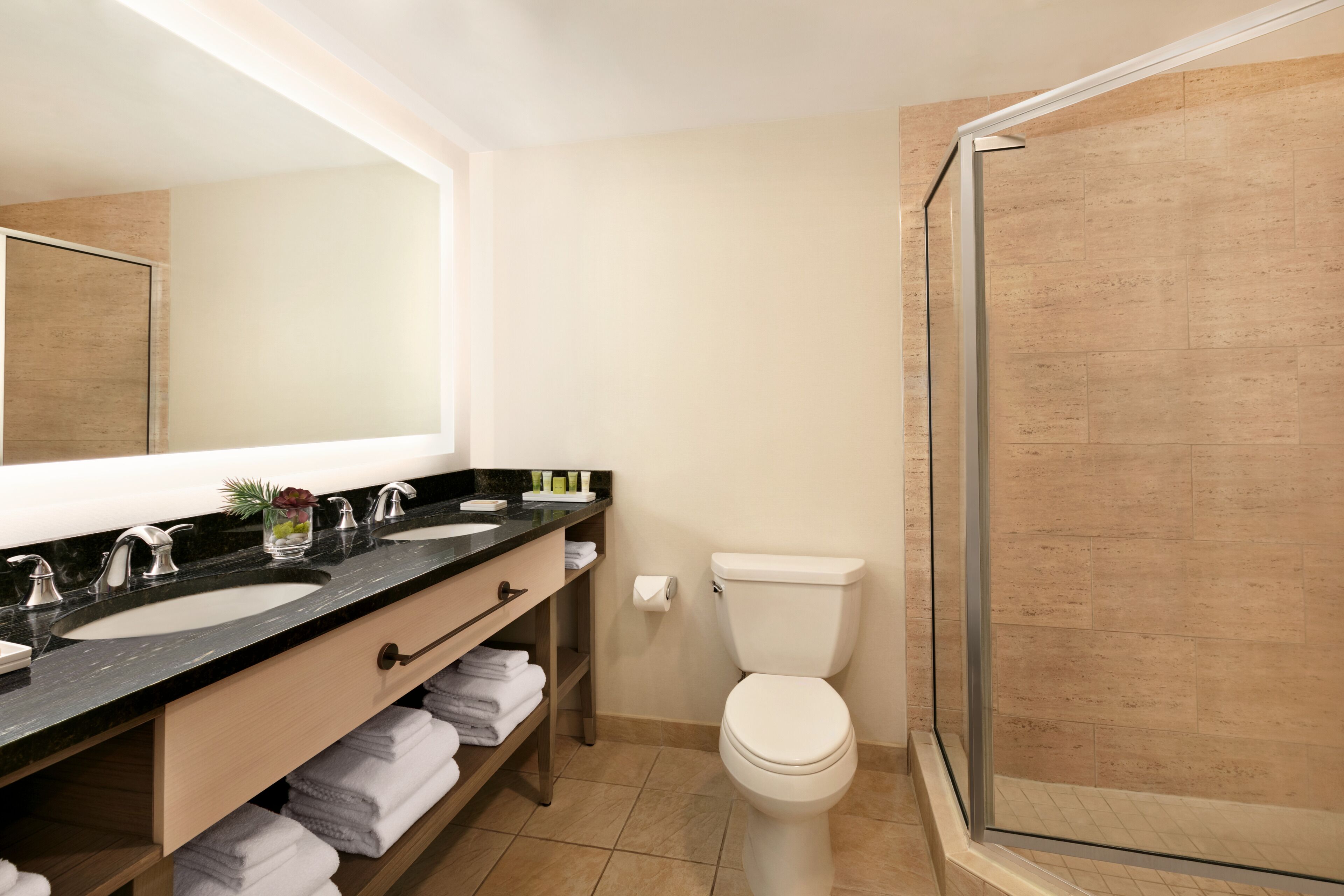 Combined shower/tub, jetted tub, rainfall showerhead