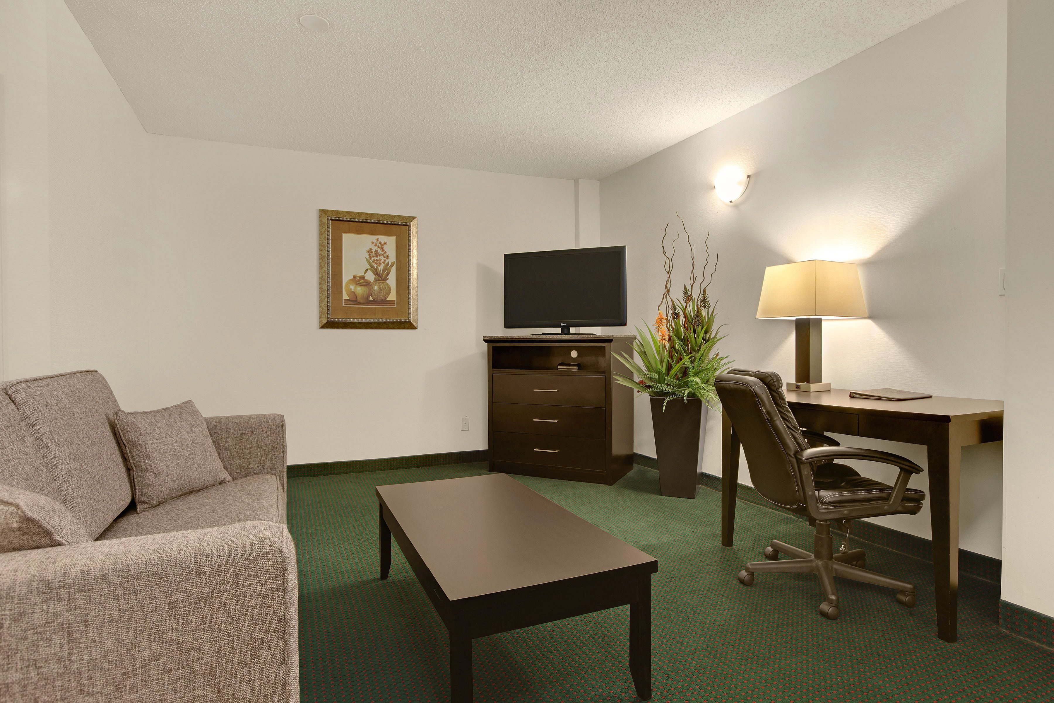 A hotel room with a sofa, a TV, a desk with a chair, a lamp, and a plant.