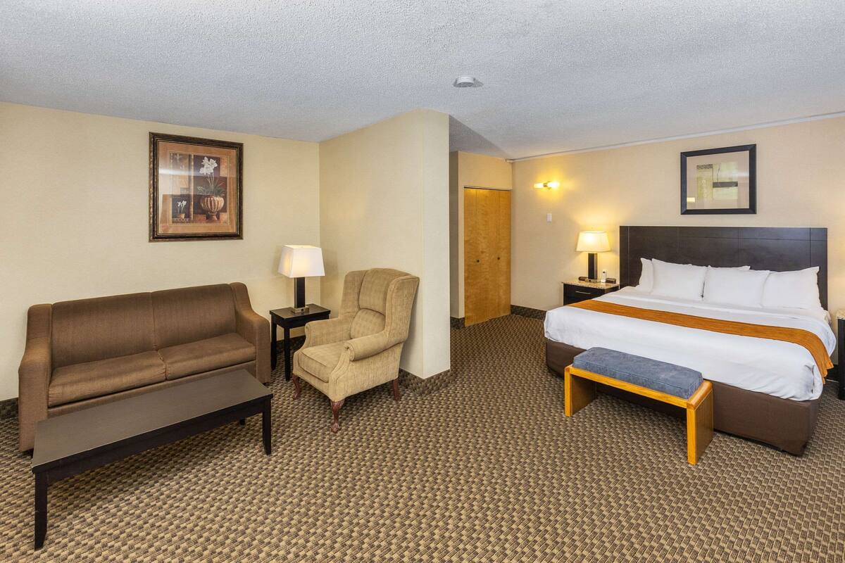 Habitación de hotel con una cama, un sofá, una silla, una mesita y una lámpara.