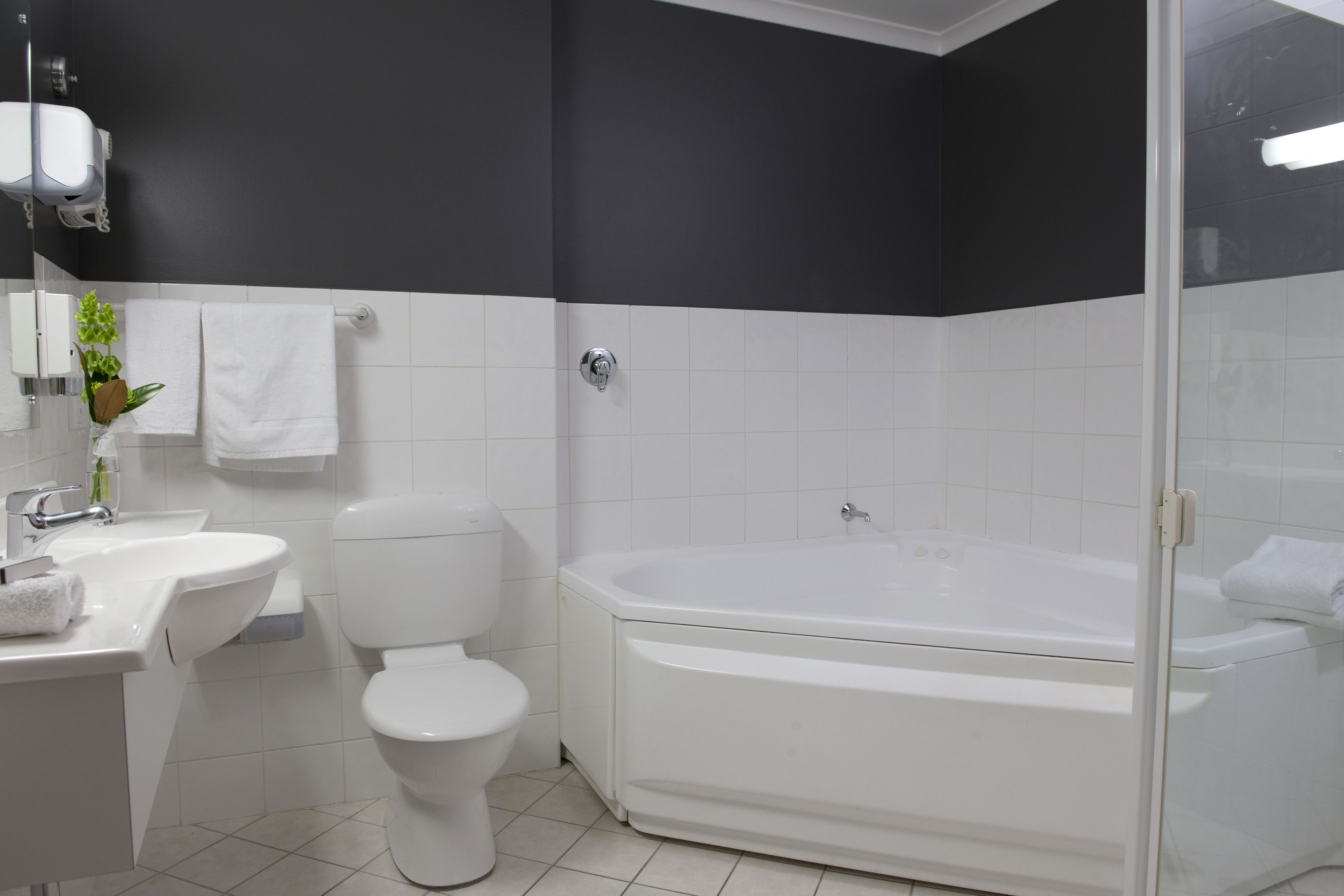 shower, free toiletries, hair dryer, towels