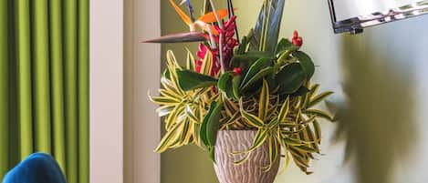 Una habitación con una mesa de madera, una silla azul y una planta en maceta con flores.