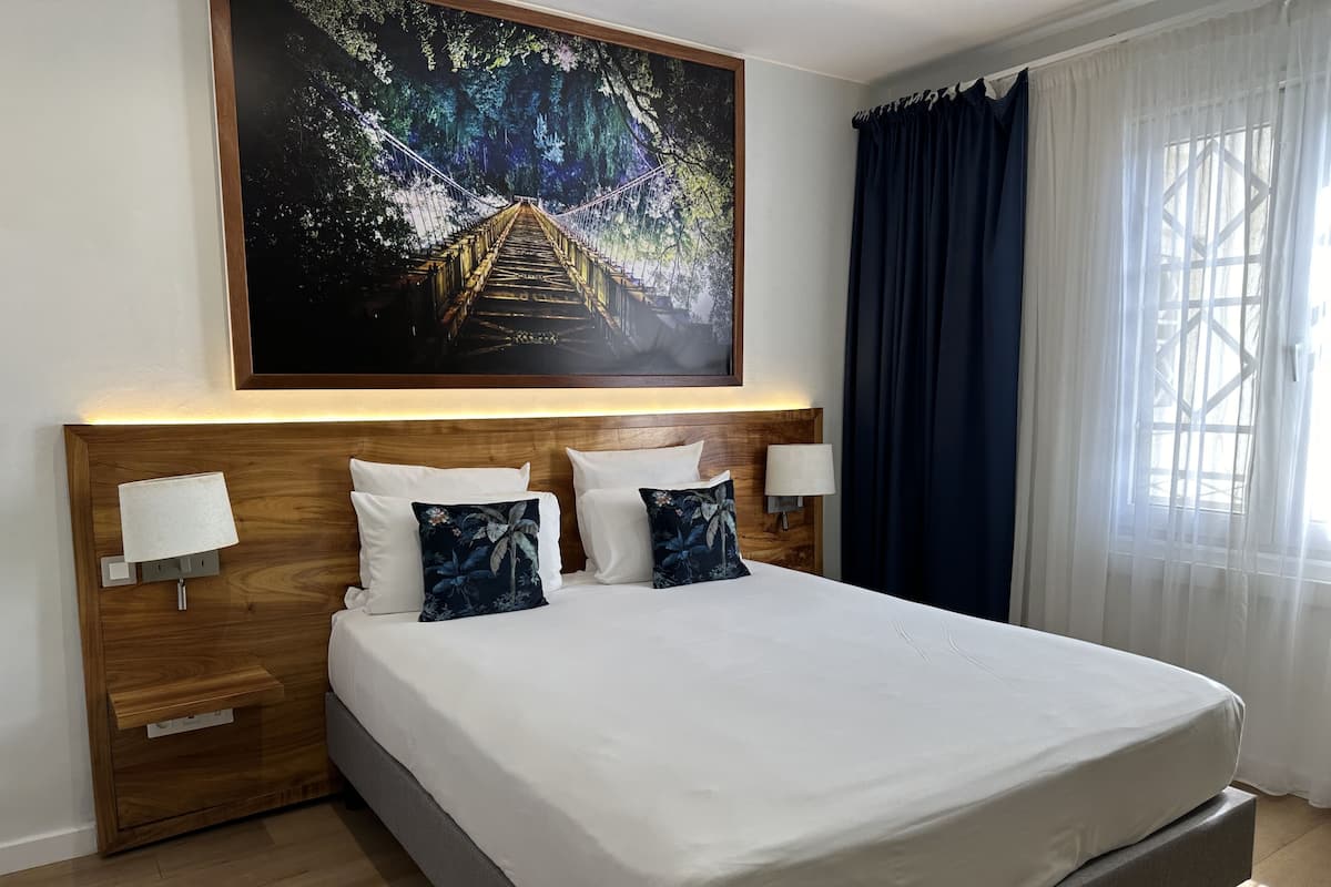 Standaard kamer, 1 tweepersoonsbed | Een minibar, een kluis op de kamer, een bureau, een laptopwerkplek