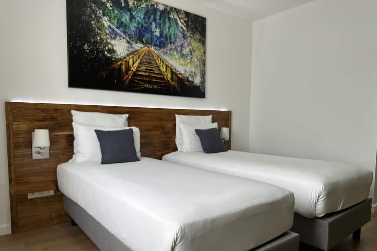 Standaard kamer, 2 eenpersoonsbedden | Een minibar, een kluis op de kamer, een bureau, een laptopwerkplek