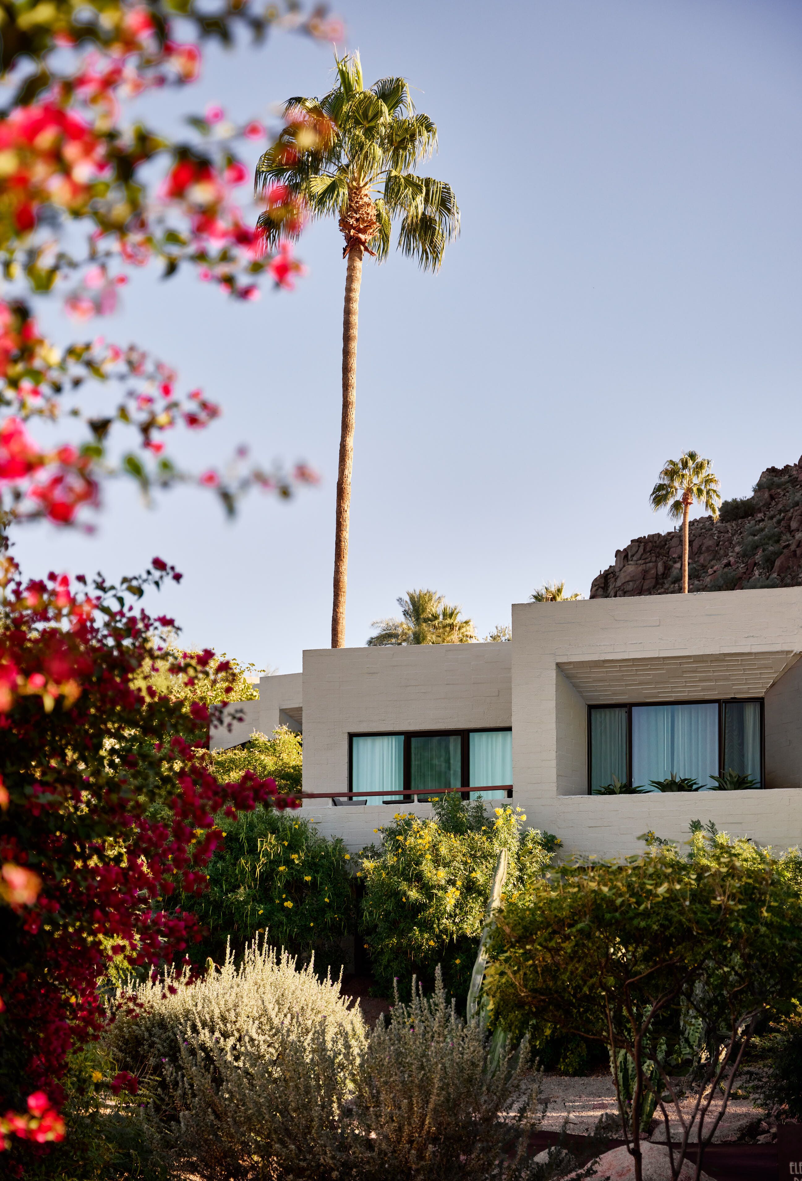 A modern building with a tall palm tree, surrounded by various plants and flowers.