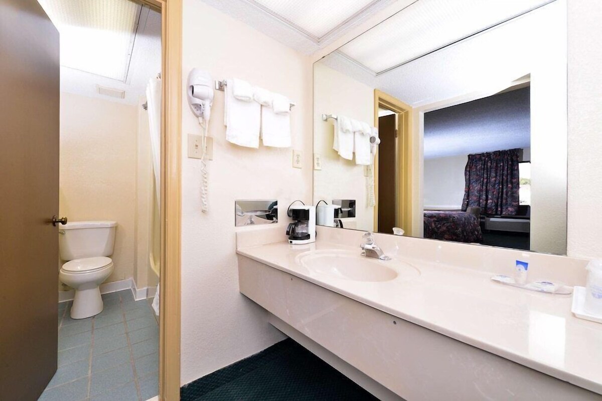 A bathroom with a toilet, a sink, a mirror, and a hairdryer.