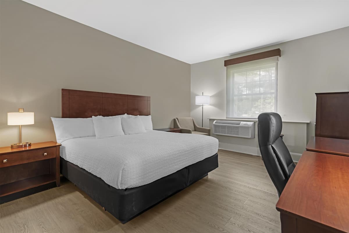 Standard Room, 1 King Bed, Accessible, Non Smoking | Individually decorated, individually furnished, desk, laptop workspace