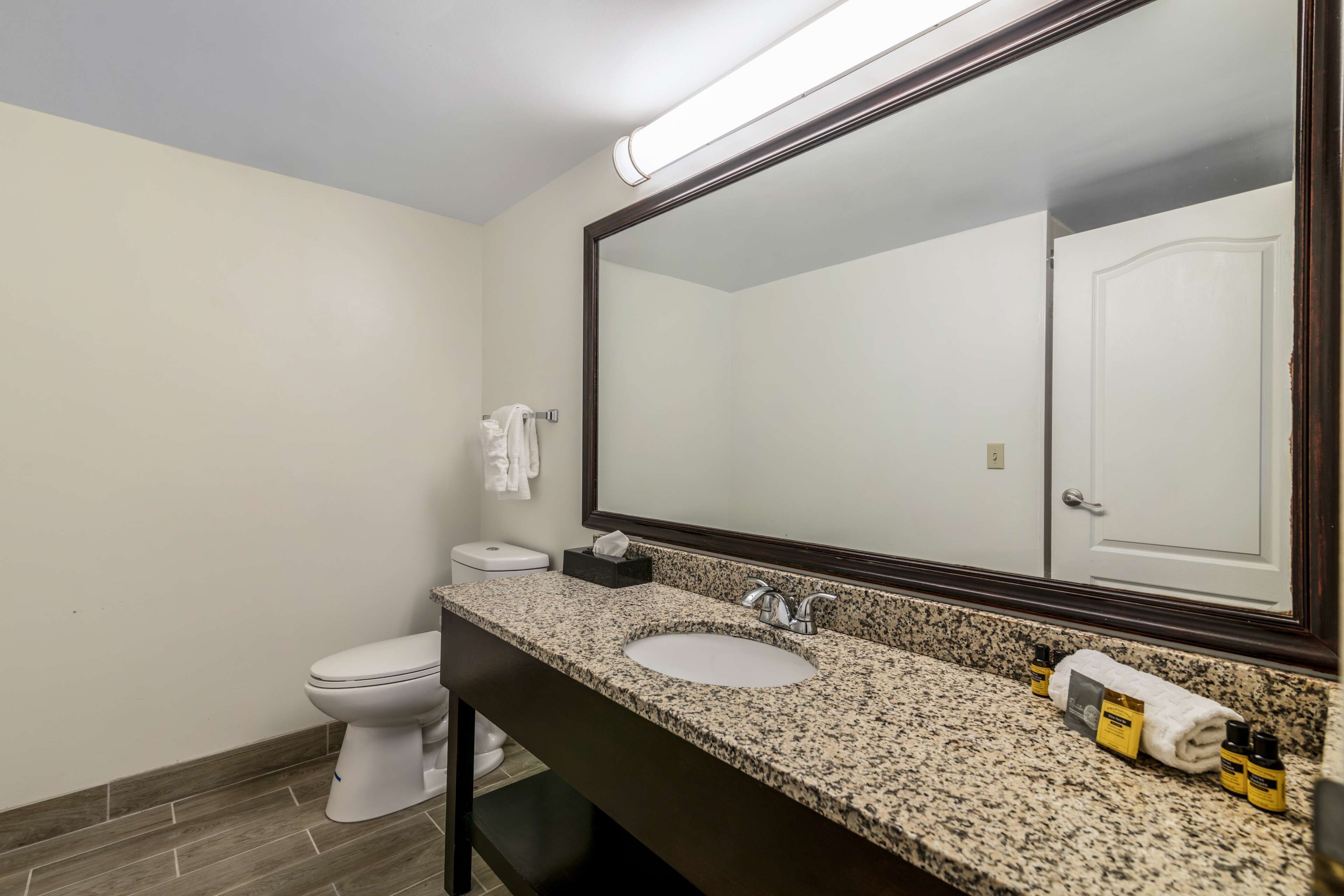 combined shower/bathtub, free toiletries, hair dryer, towels