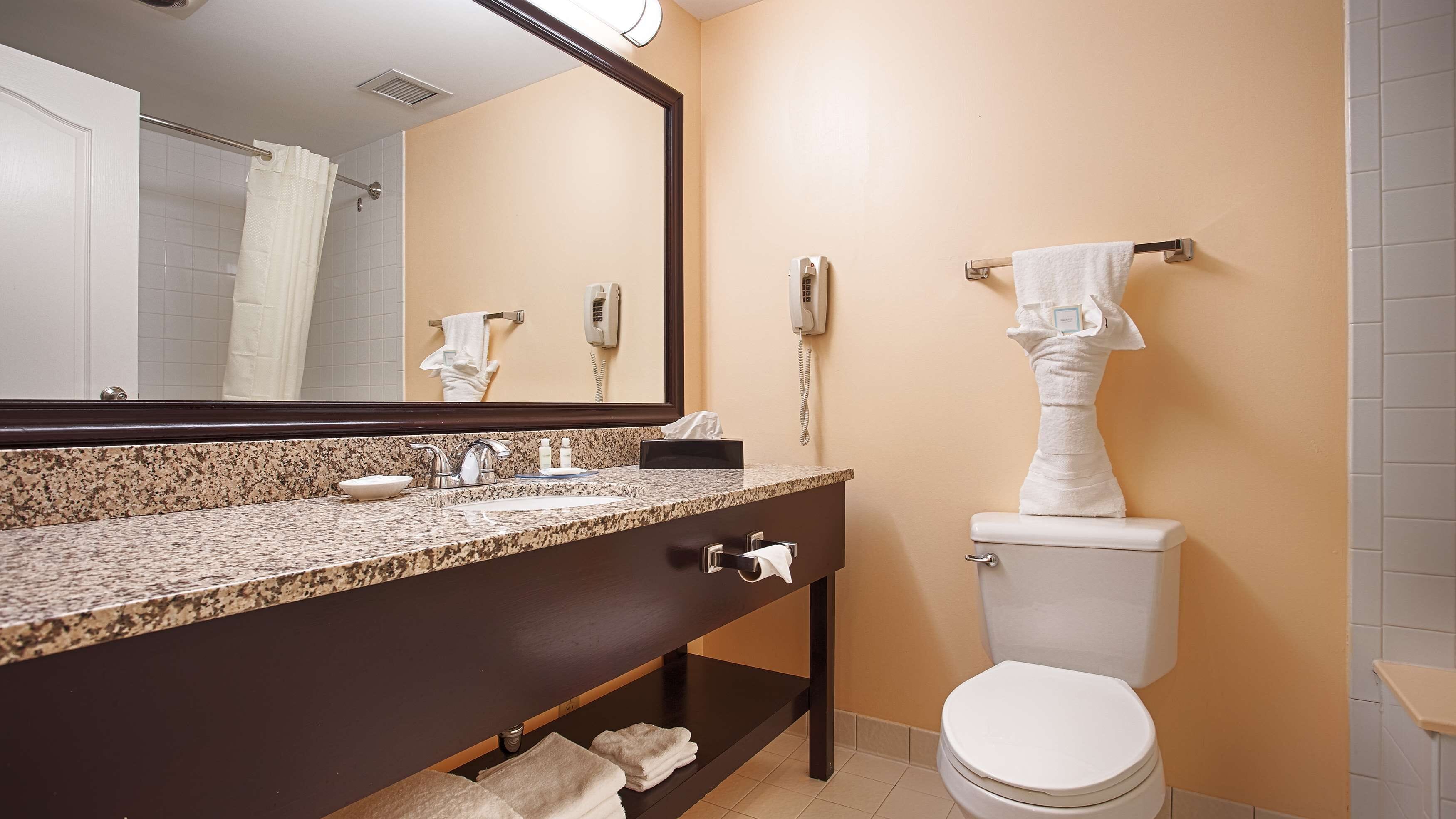 combined shower/bathtub, free toiletries, hair dryer, towels