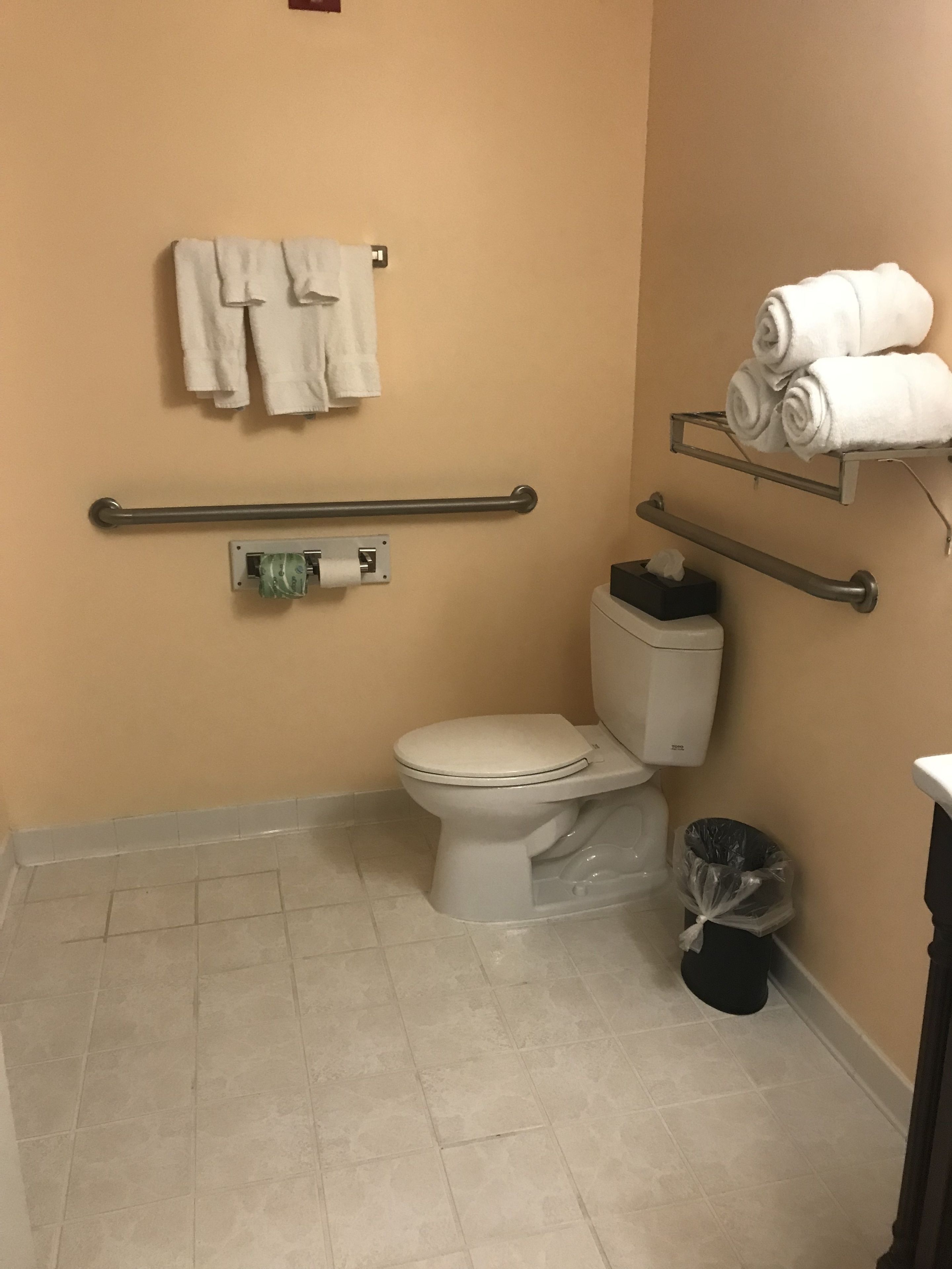 A bathroom with a toilet, handrails, a towel rack, and a trash bin.