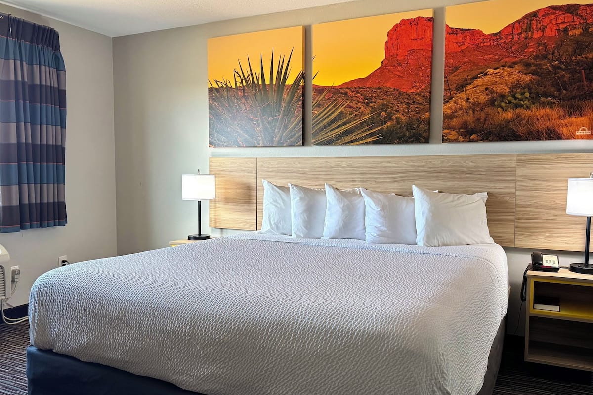 One-Bedroom Suite, 1 King Bed, Non Smoking | Desk, blackout drapes, iron/ironing board, WiFi (free)