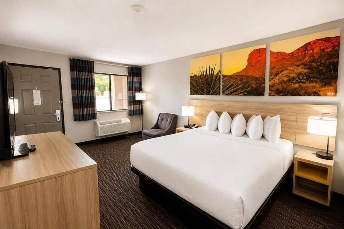 Standard Room, 1 King Bed | Desk, blackout drapes, iron/ironing board, WiFi (free)