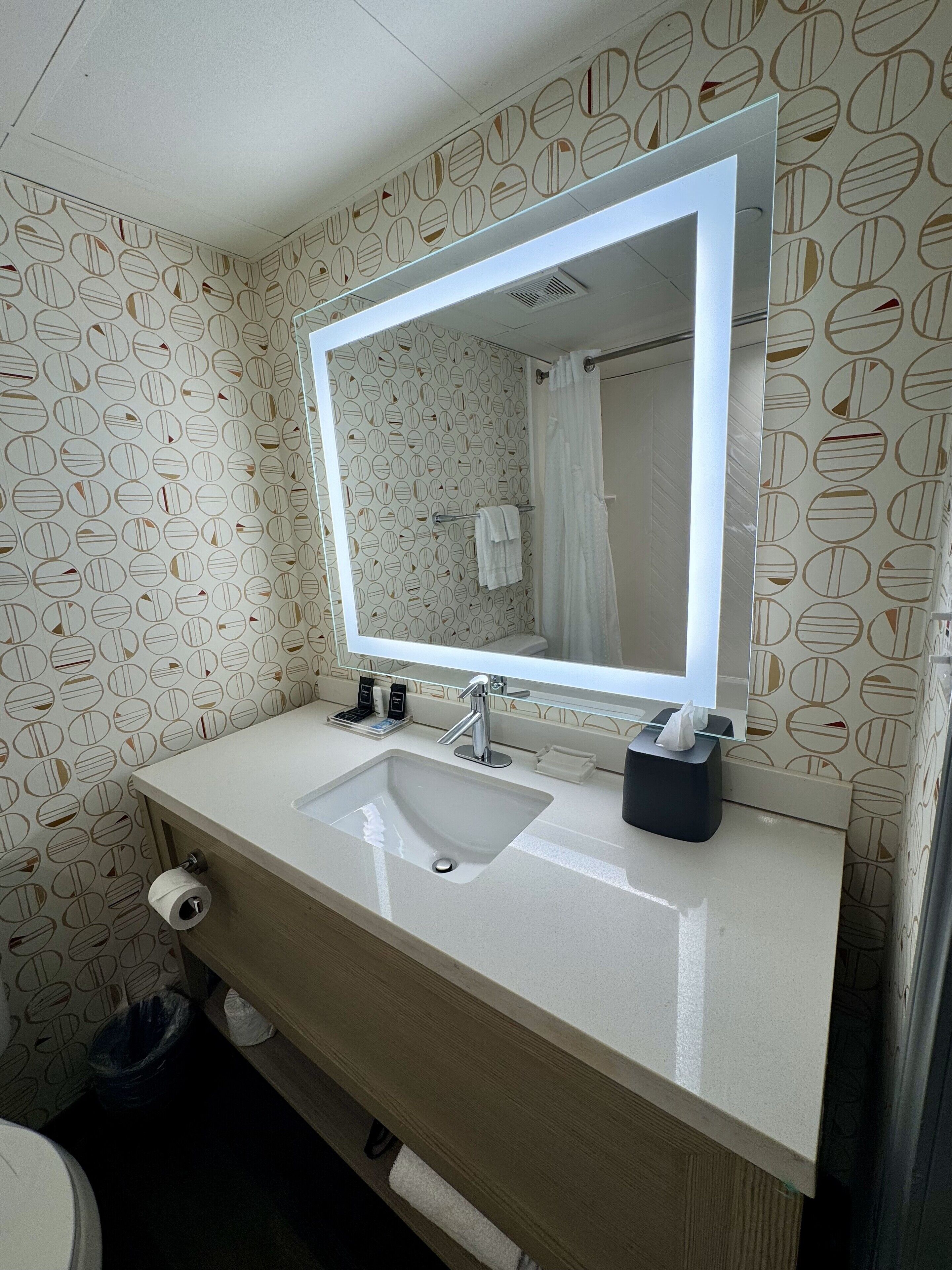 combined shower/bathtub, hair dryer, towels