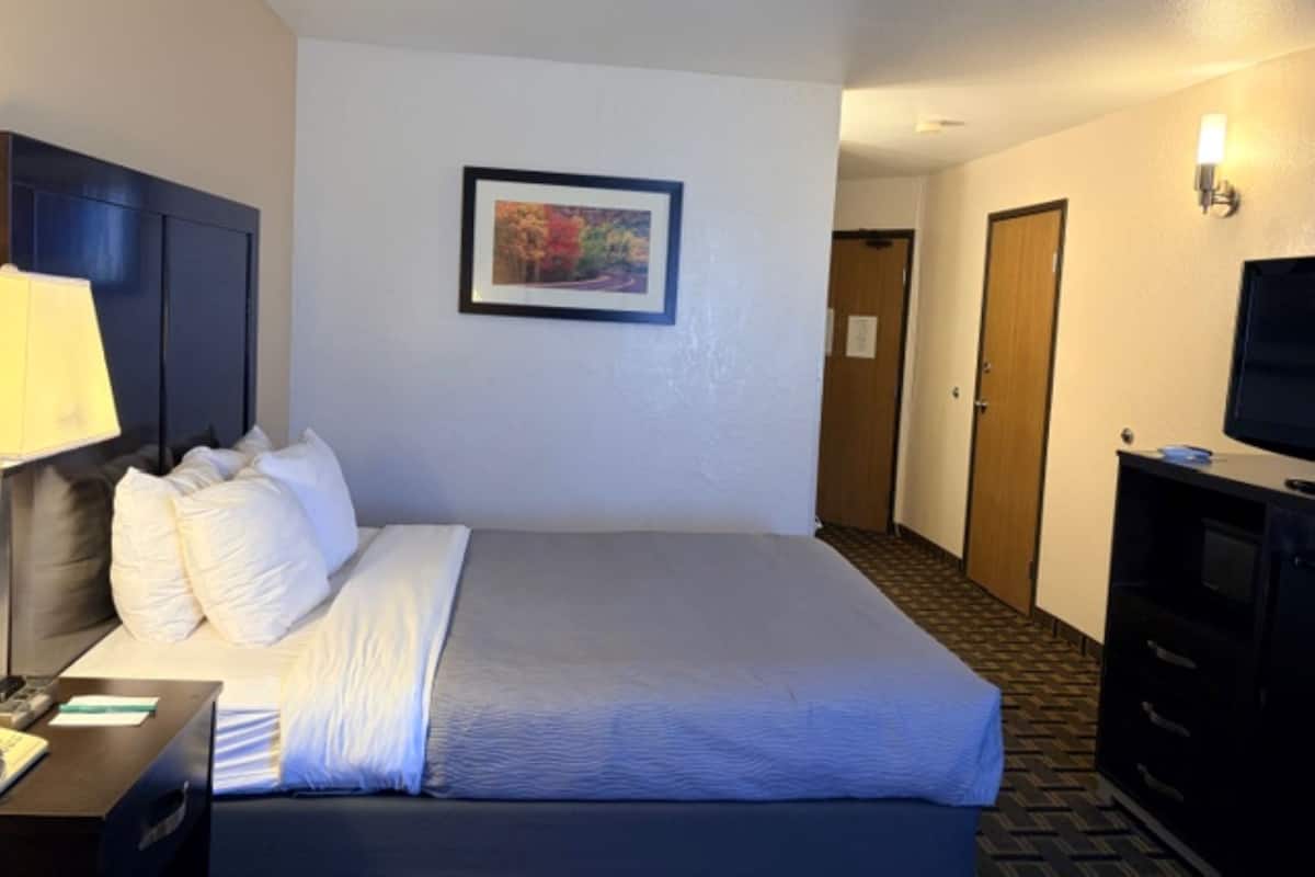 Room, 1 Queen Bed, Accessible, Non Smoking | Desk, iron/ironing board, free cribs/infant beds, rollaway beds