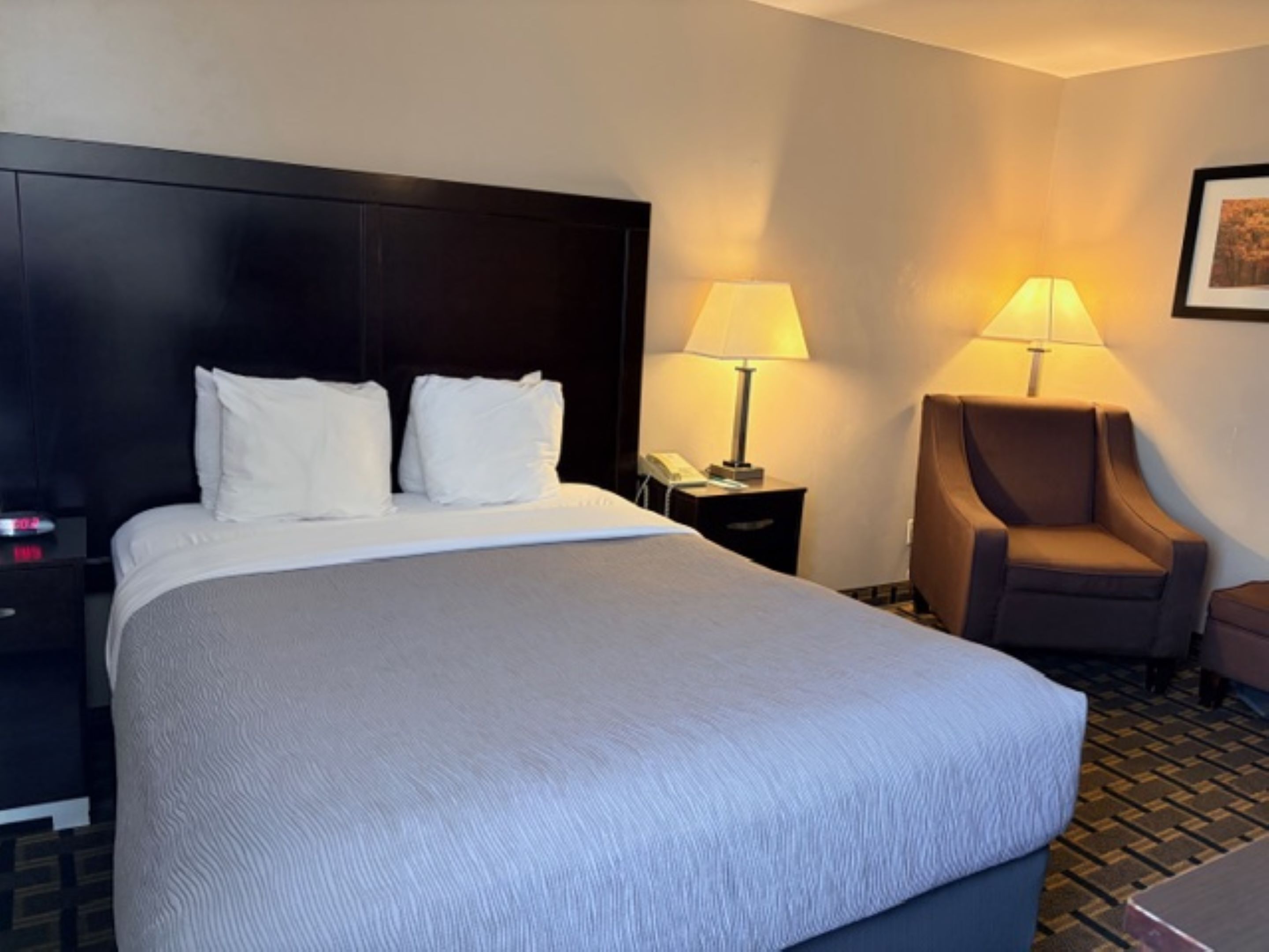 Standard Room, 1 Queen Bed | Desk, iron/ironing board, free cribs/infant beds, rollaway beds