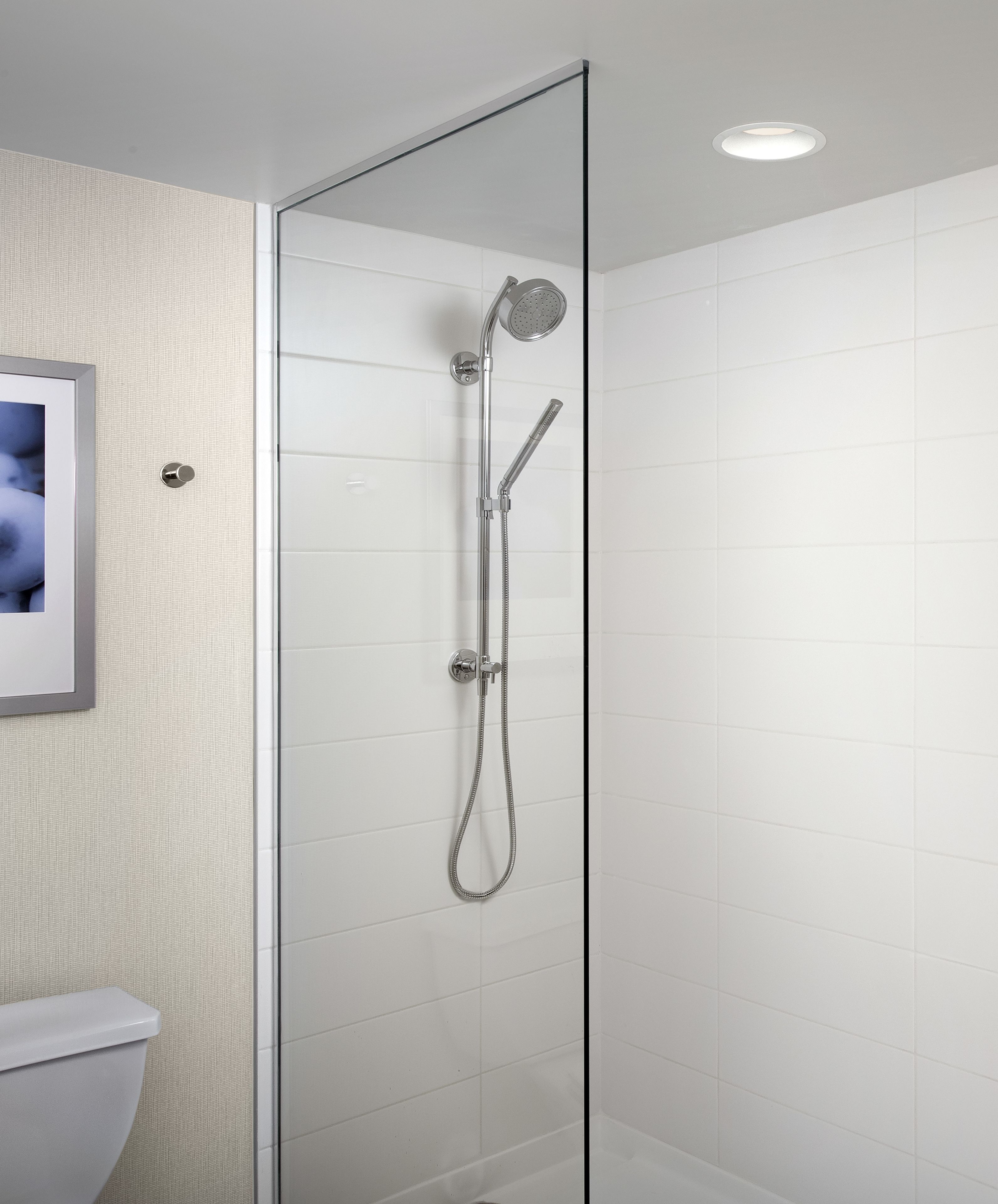 Een moderne badkamer met een douchecabine van glas, een toilet en een ingelijst kunstwerk aan de muur.