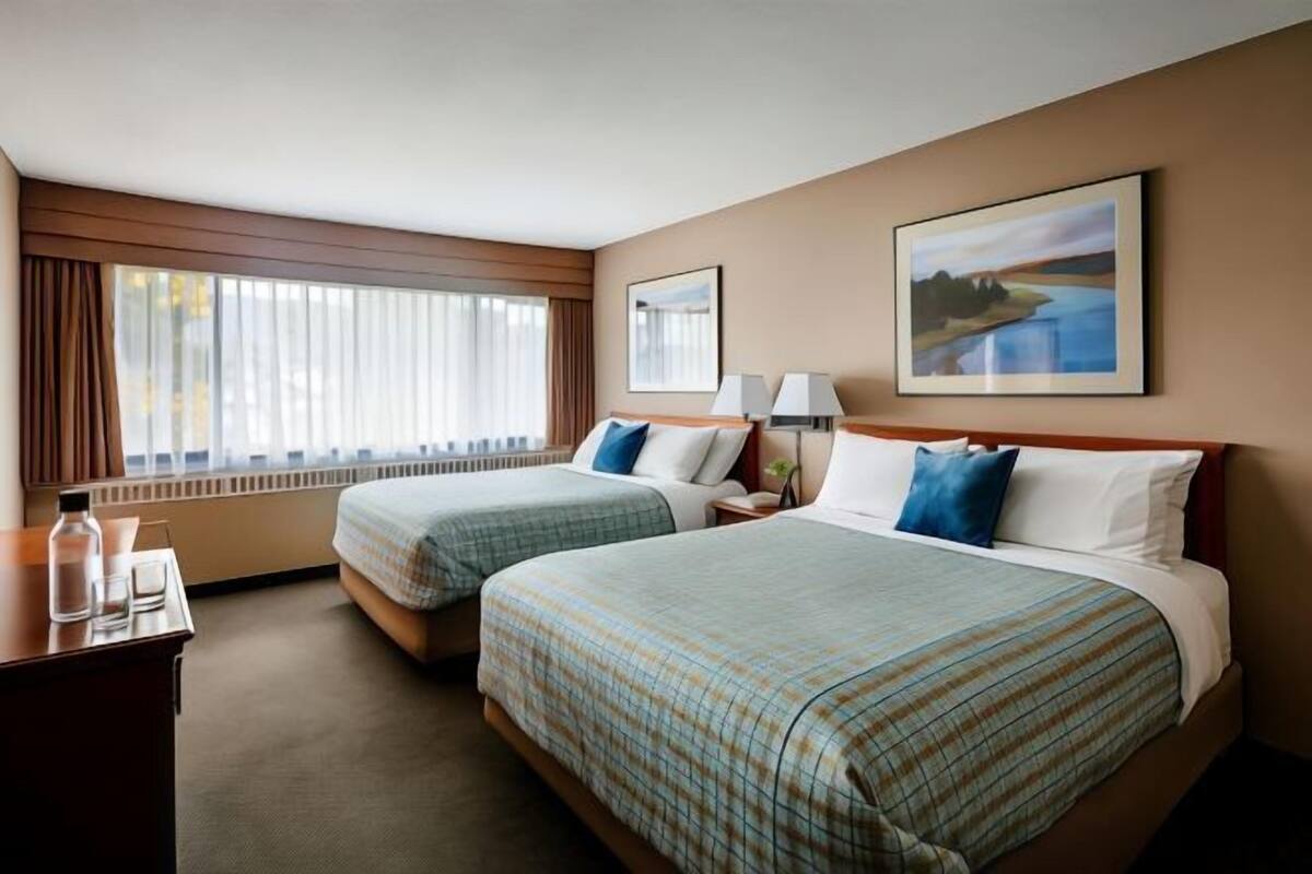 1 habitación, cortinas blackout y tabla de planchar con plancha