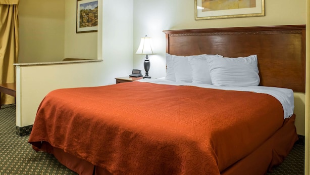Una habitación de hotel con una cama grande, una mesita de noche con lámpara, un cuadro en la pared y una ventana con cortinas.