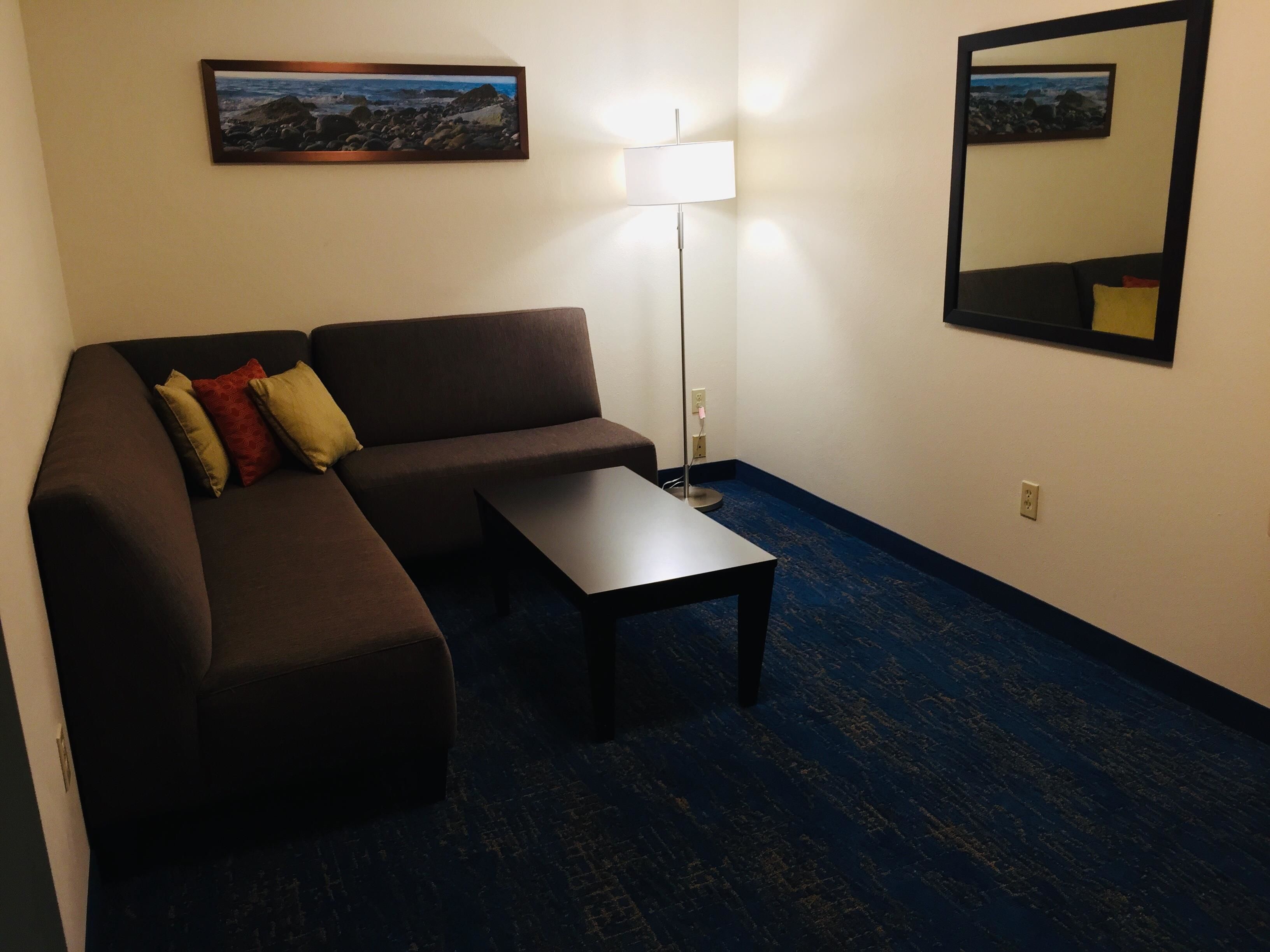 suite, 1 queen bed, non smoking, refrigerator & microwave | room amenity