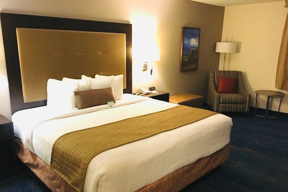 Une chambre d’hôtel avec un grand lit, une tête de lit, une table de chevet, une chaise et une lampe.