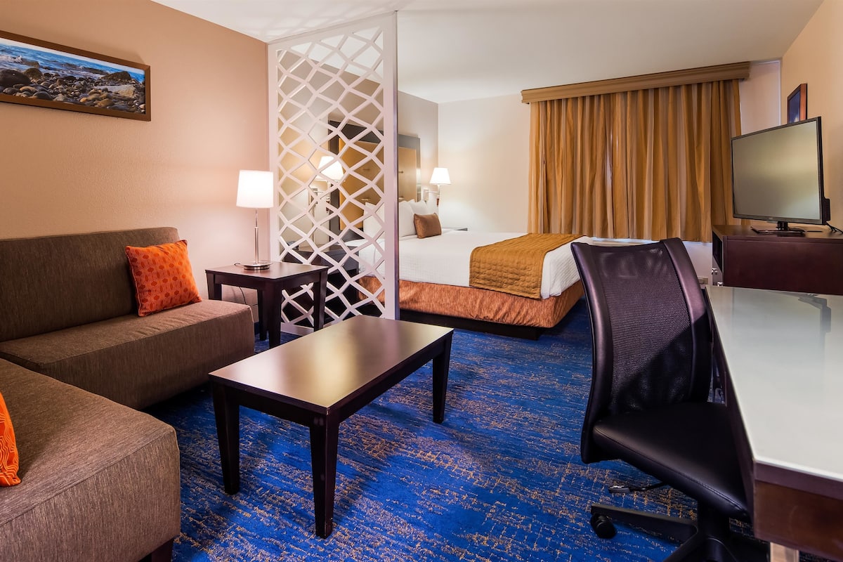 Une chambre d’hôtel équipée d’un canapé, d’un lit, d’un bureau, d’une chaise et d’un téléviseur.