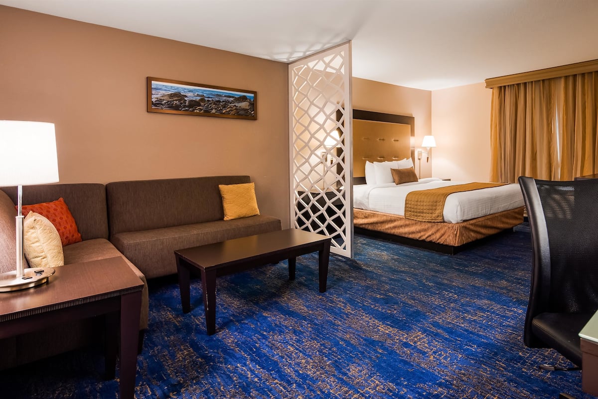 Une chambre d’hôtel avec un canapé, un lit, un bureau et une chaise.