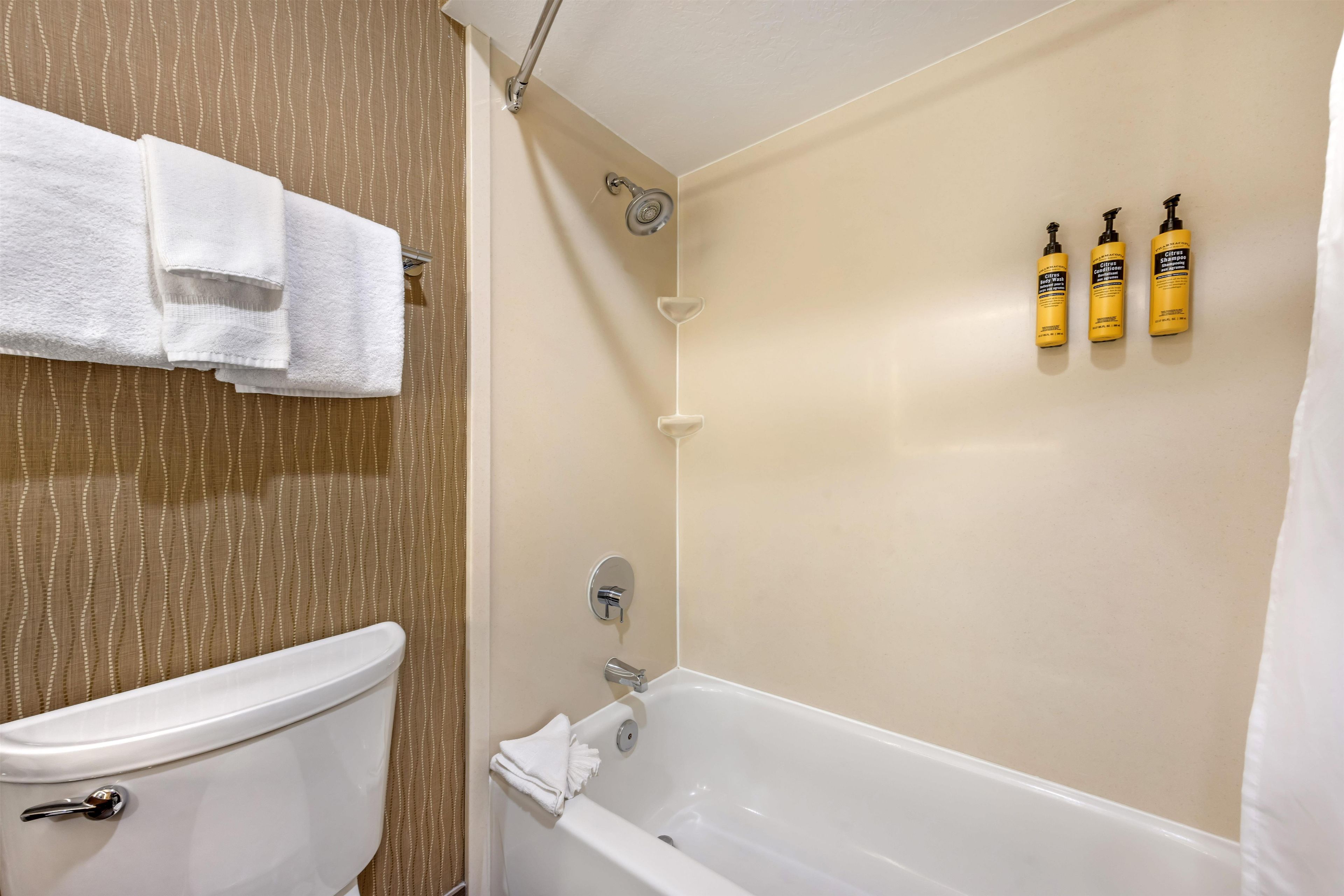 Ein Badezimmer mit einer Badewanne, einer Toilette und einer Dusche. An der Wand befinden sich drei Flaschen Shampoo und Conditioner.