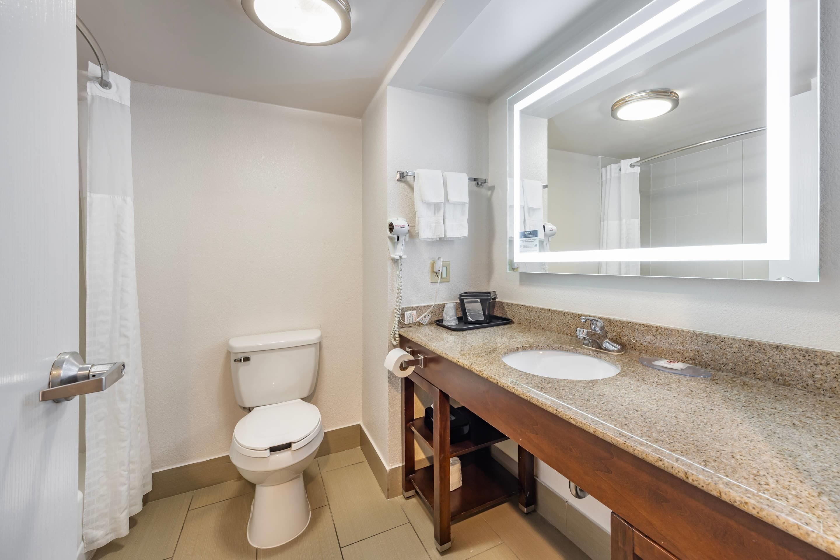 suite, 1 king bed, non smoking | 1 bedroom, premium bedding, desk, laptop workspace