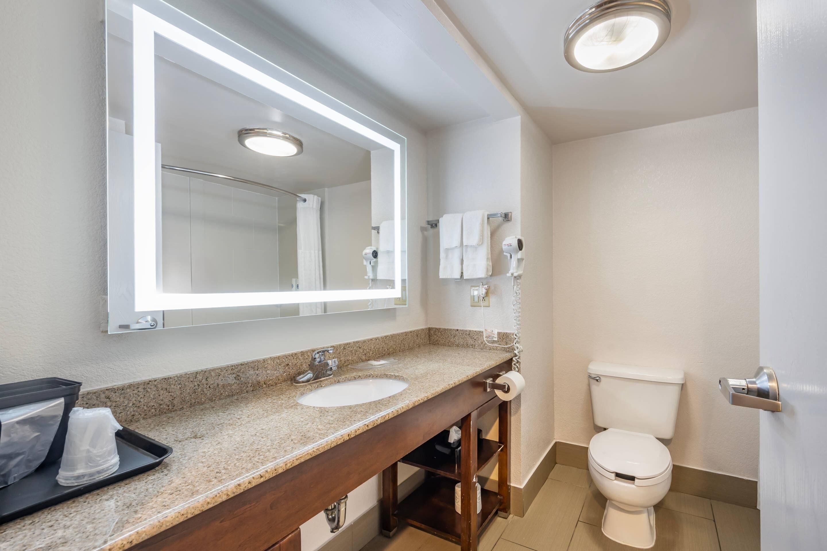 A bathroom with a sink, mirror, and toilet.