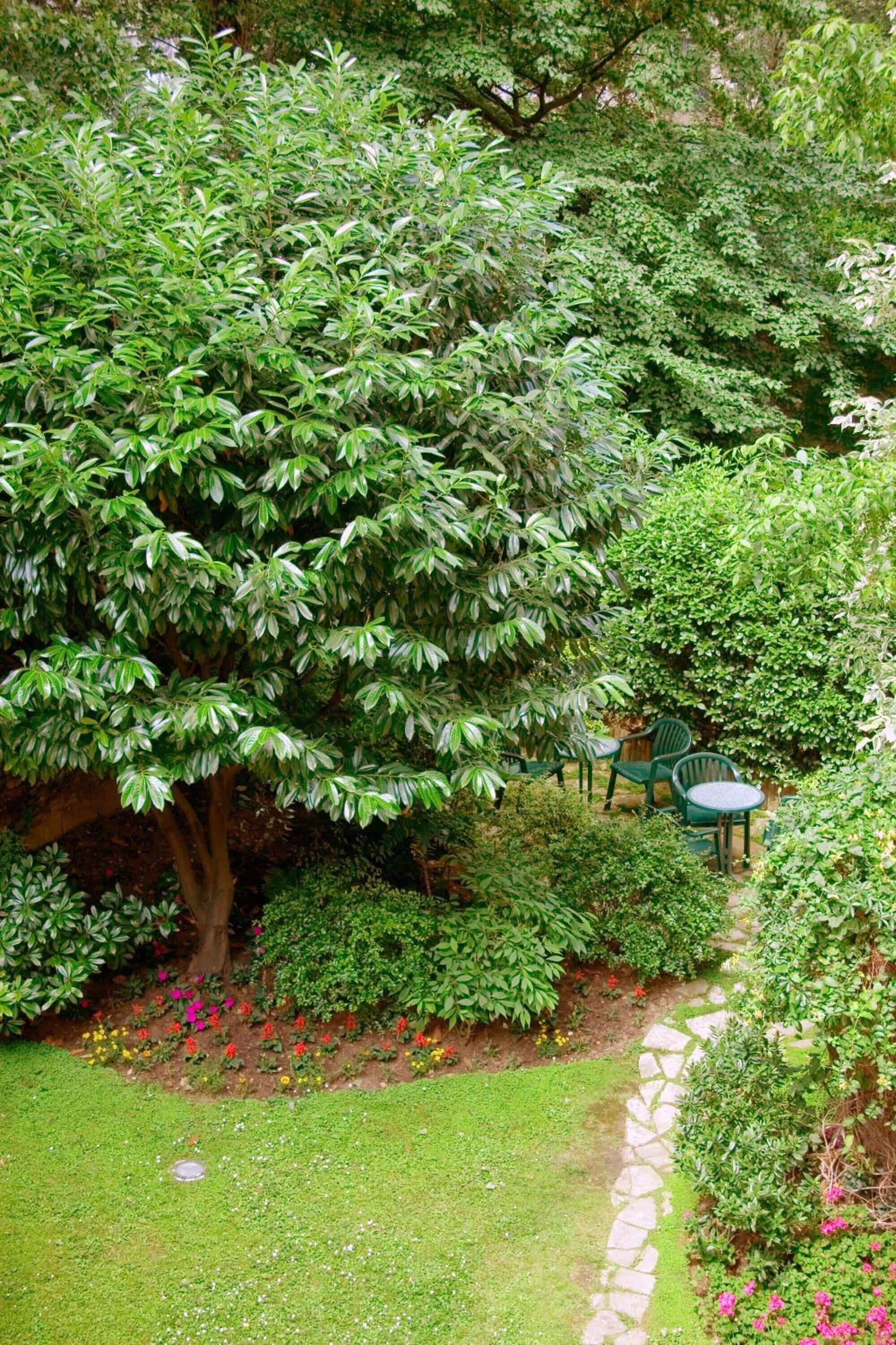 Foto - Abaca Messidor by Happyculture