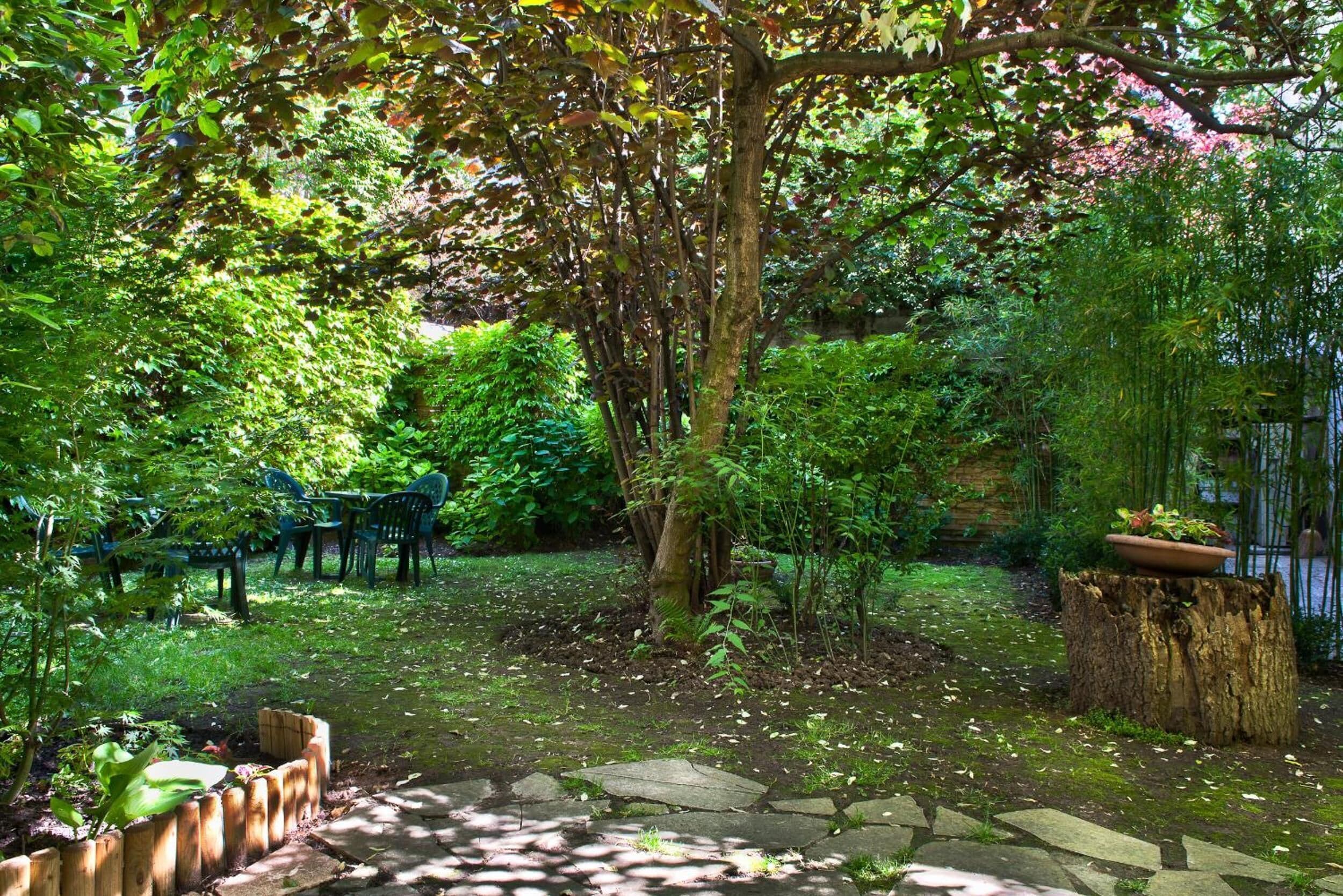 Foto - Abaca Messidor by Happyculture