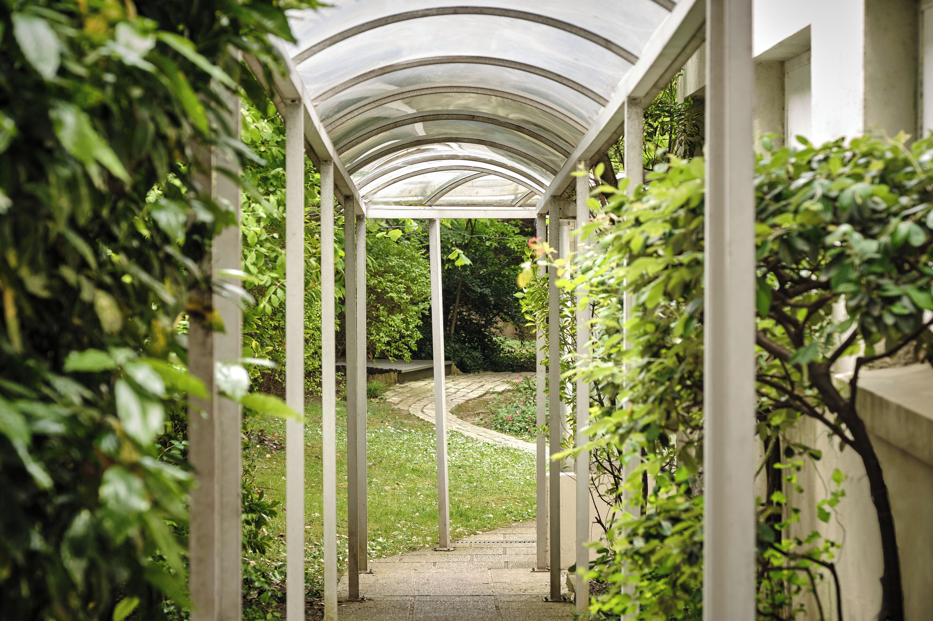 Foto - Abaca Messidor by Happyculture