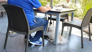 Pet-friendly