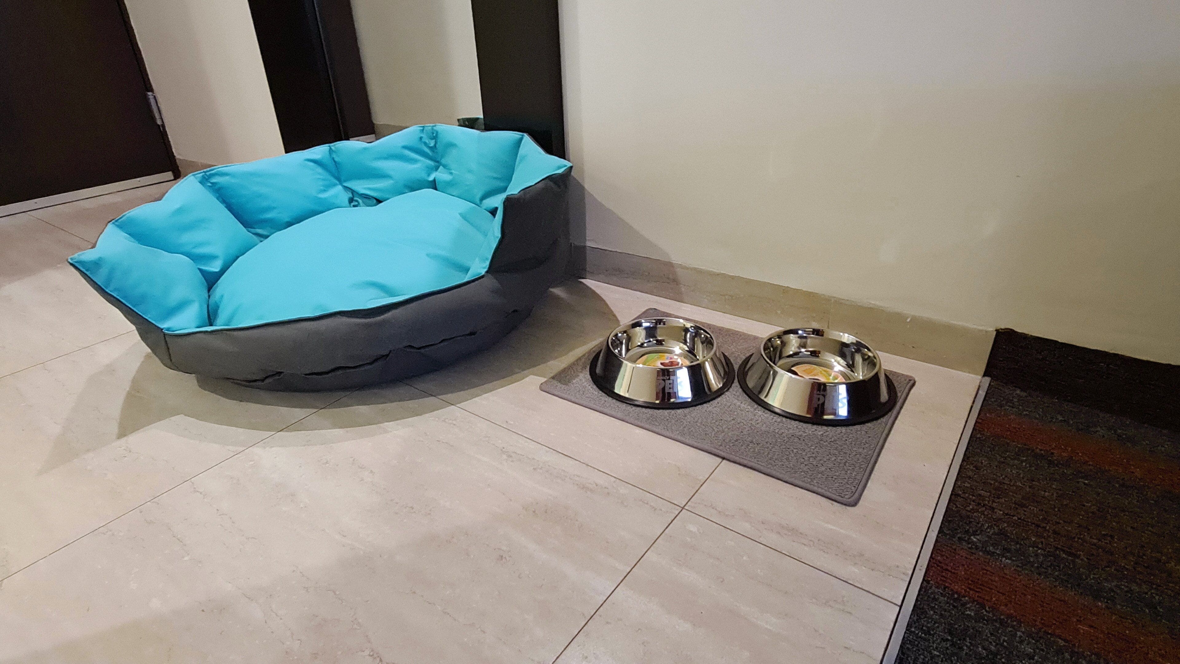 Foto - Holiday Inn Mexico Dali Airport by IHG