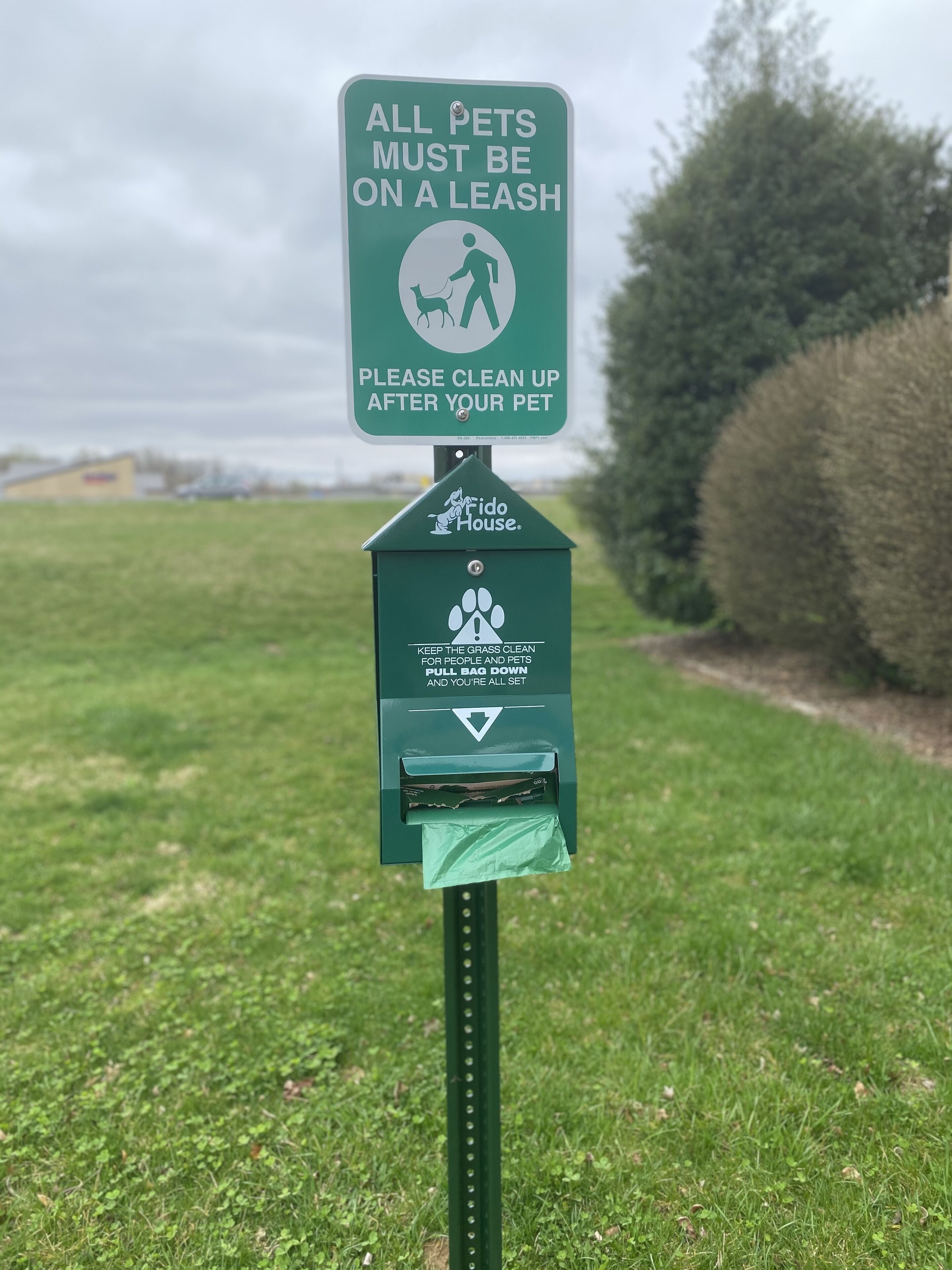 pet-friendly amenities