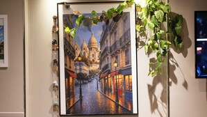 A framed cityscape artwork on a wall, a hanging plant, and two clear plastic chairs with a table. - Hotel Les Jardins de Montmartre (Paris)