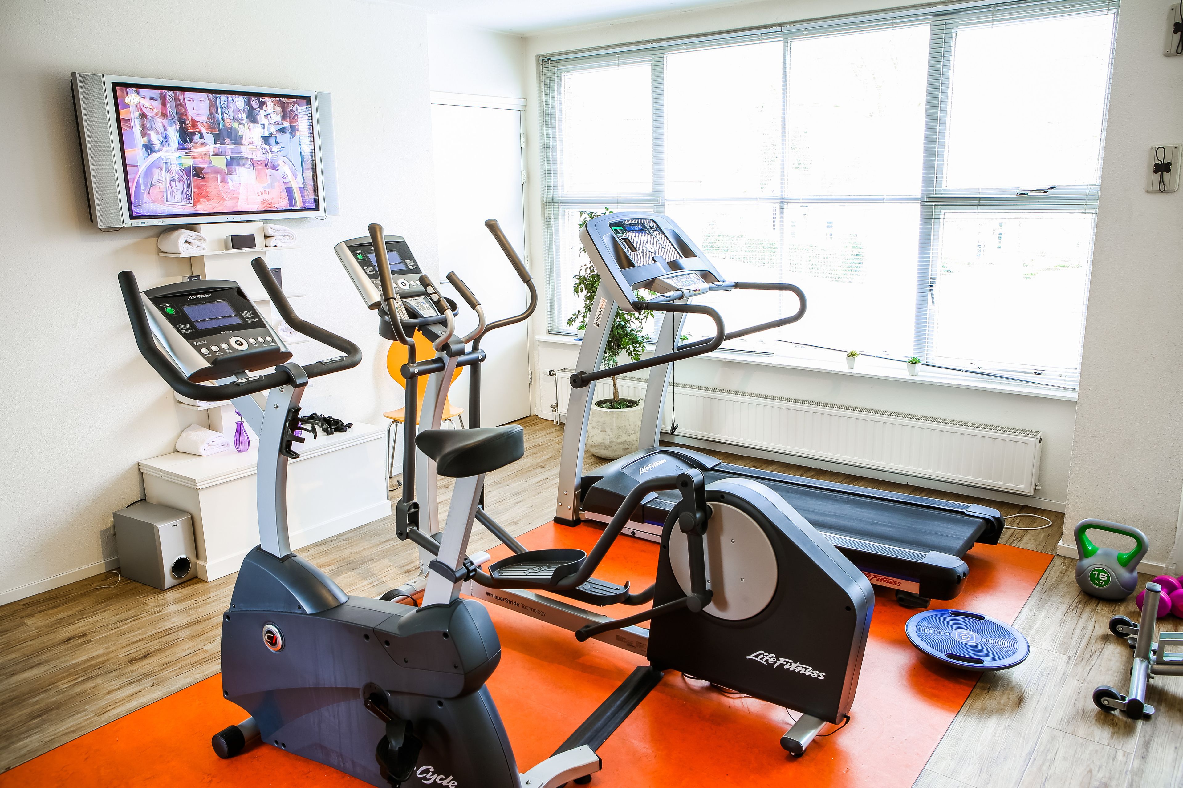 Ein Fitnessstudio mit Cardiogeräten, Laufbändern und Gewichten.
