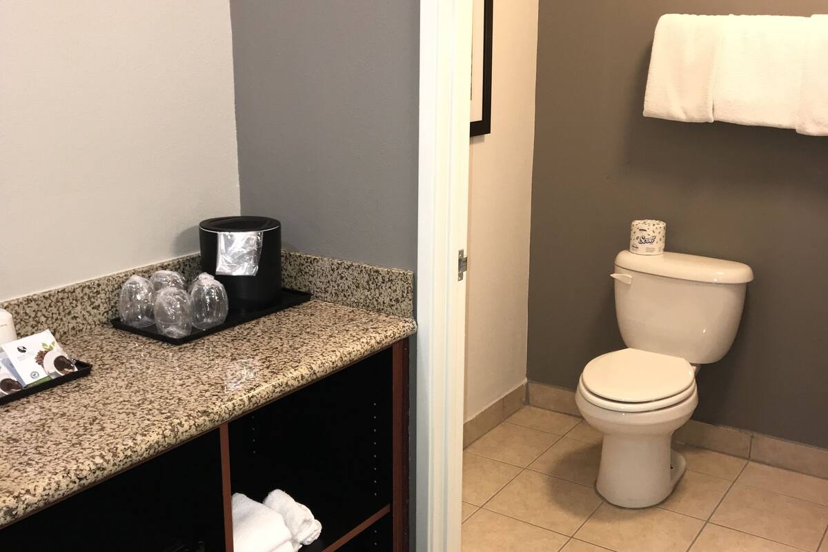 combined shower/bathtub, free toiletries, hair dryer, towels